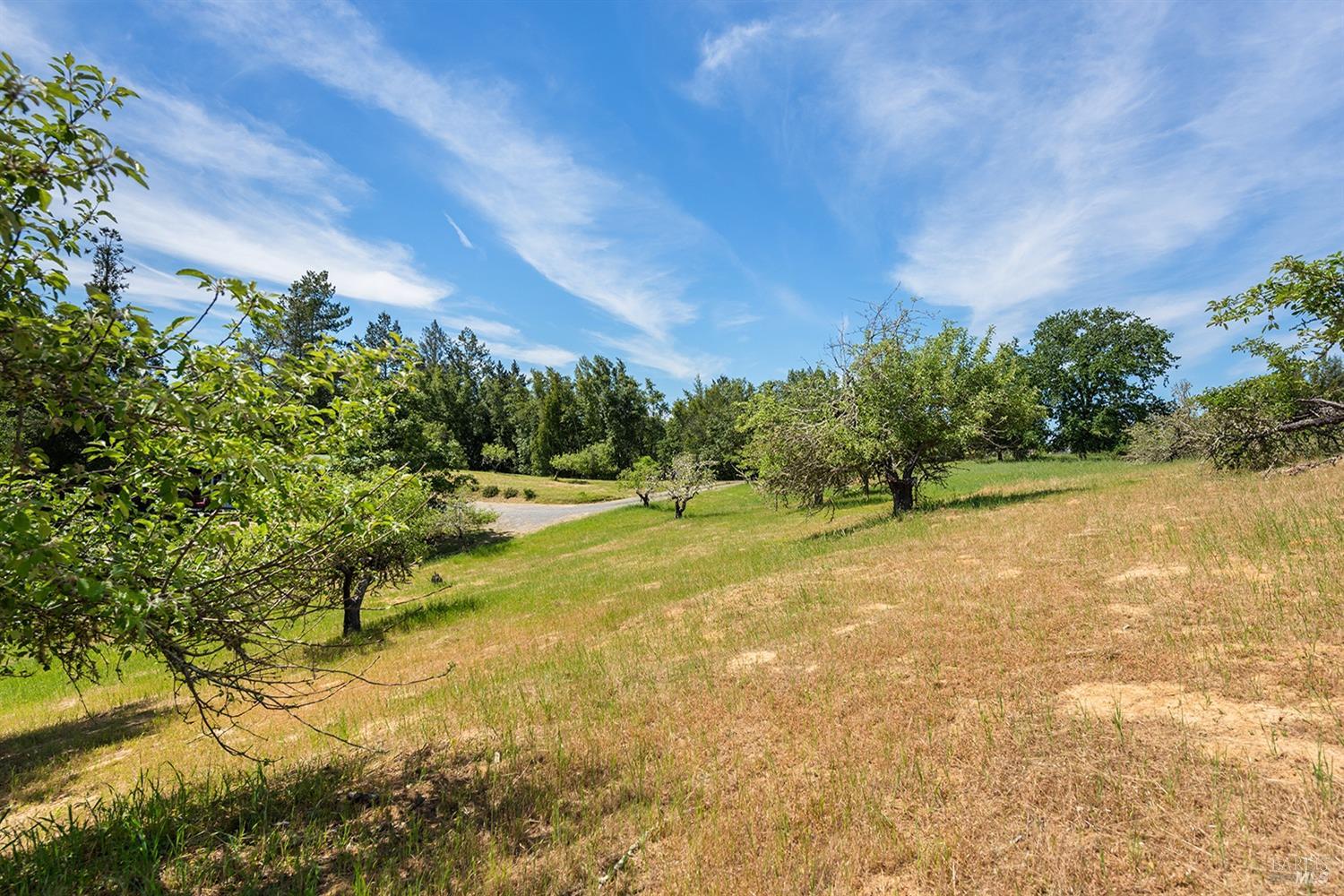Forestville, California, 95436, United States, 4 Bedrooms Bedrooms, ,3 BathroomsBathrooms,Residential,For Sale,1796757
