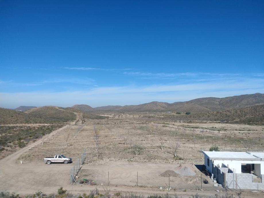 KM 3 CARRETERA PARRAS A GENERAL CEPEDA, Parras, Coahuila de Zaragoza, 27987, Mexico, 1 Bedroom Bedrooms, ,Residential,For Sale,KM 3 CARRETERA PARRAS A GENERAL CEPEDA,1472261