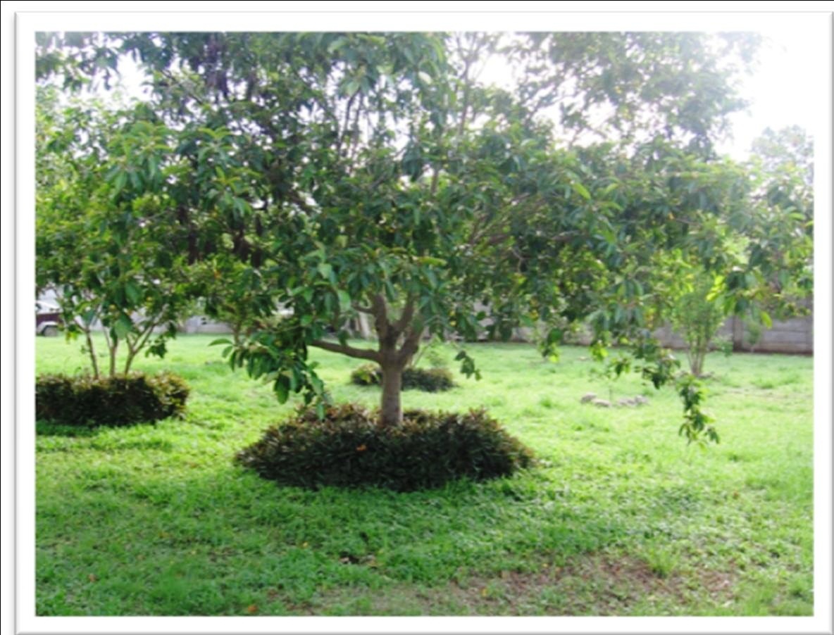 Liberia, Guanacaste, CR, 4 Bedrooms Bedrooms, ,Residential,For Sale,1621783