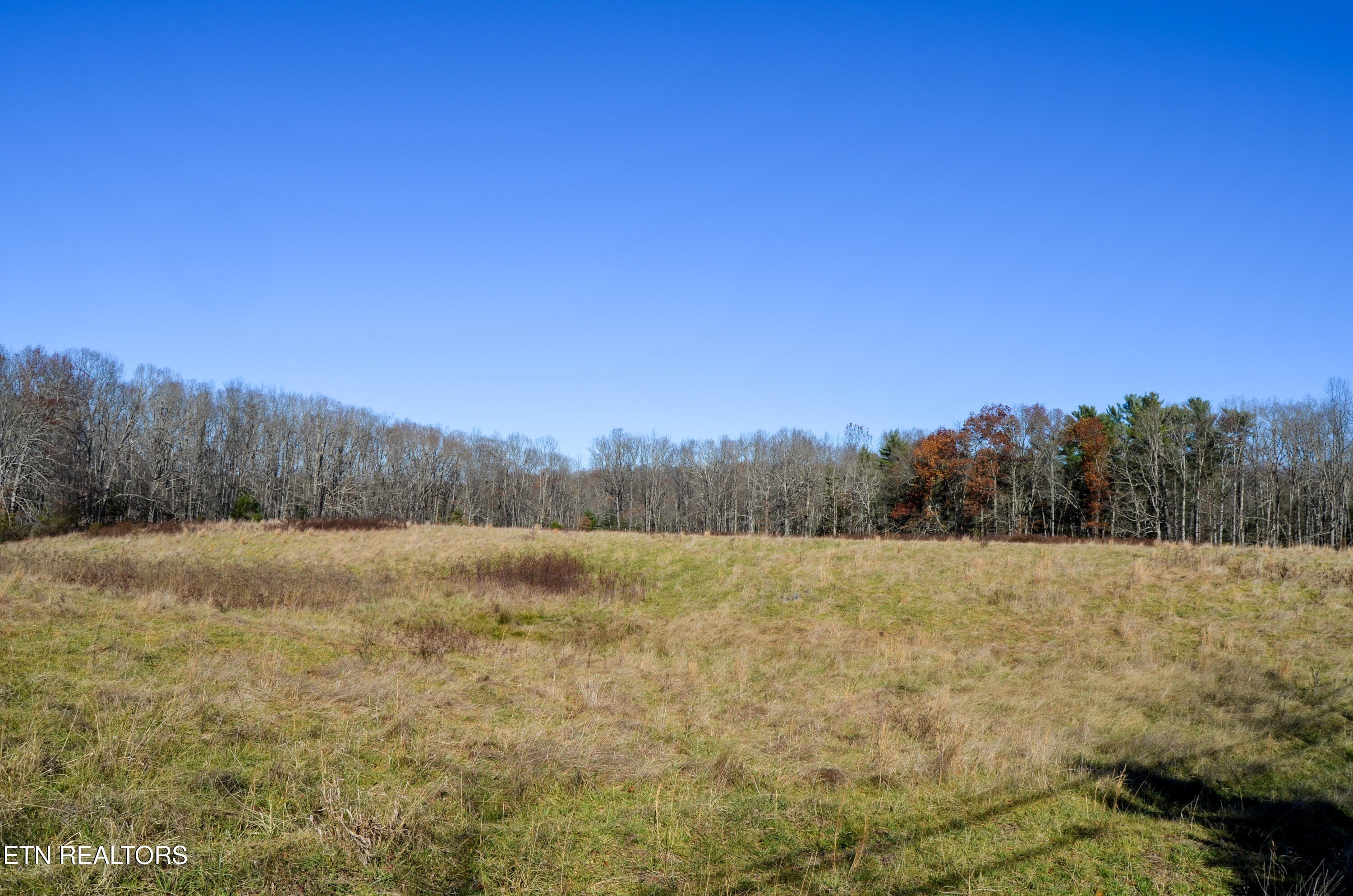 Crossville, Tennessee, 38555, United States, ,Land,For Sale,1978266