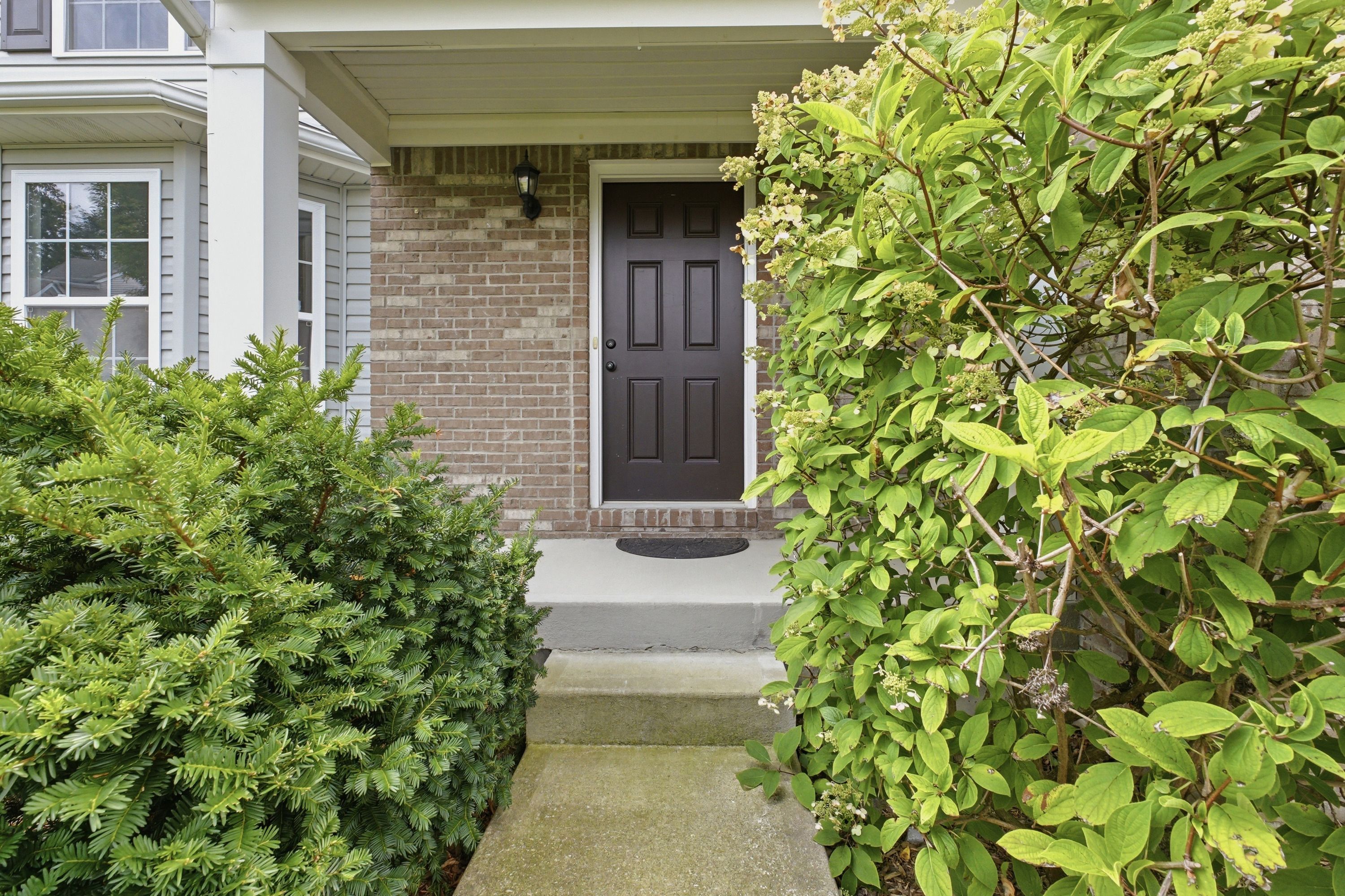  203 Brookfield Hills Court, Louisville, KY 40245 - 物件實景