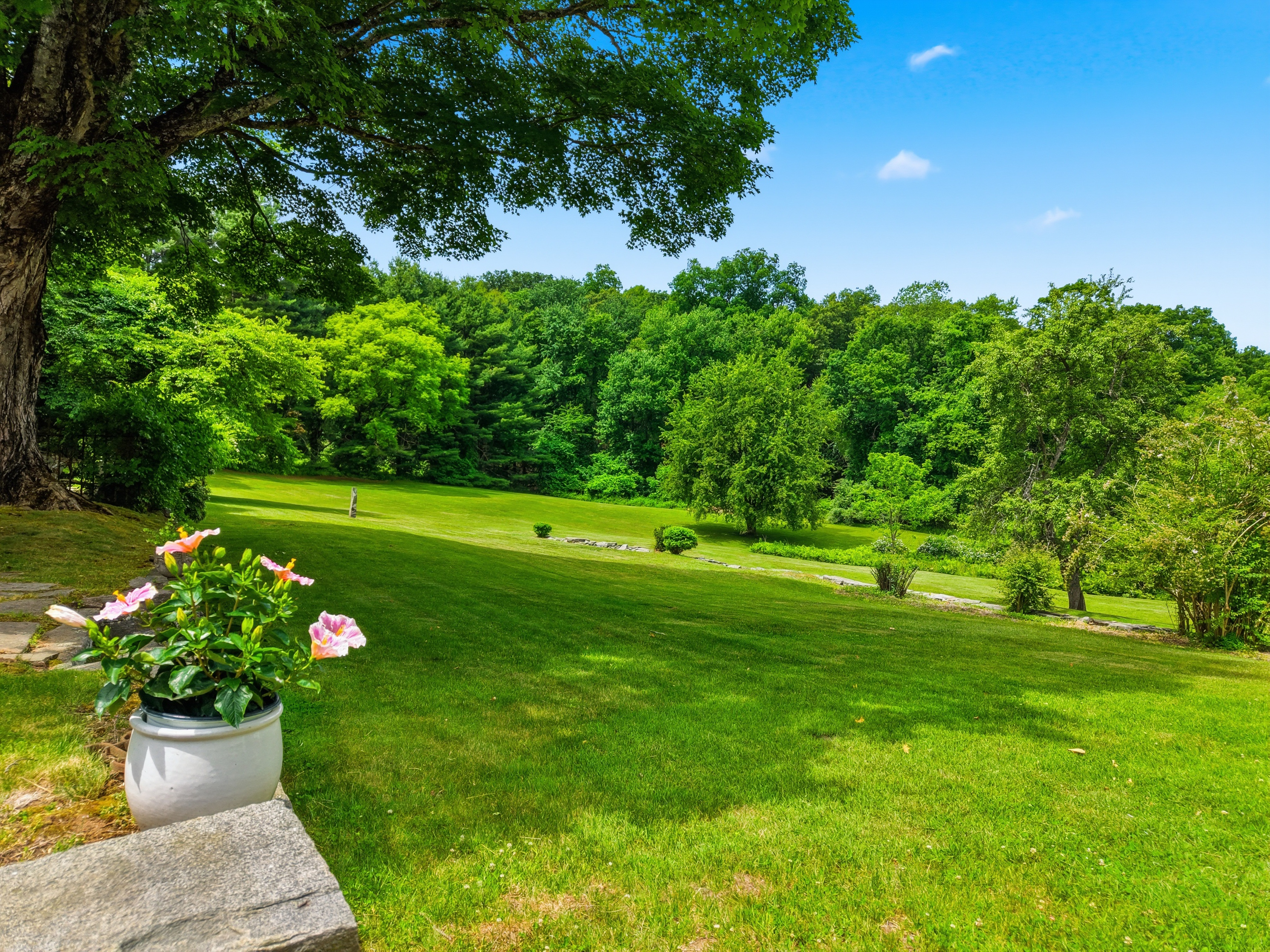  Welcome to this Secluded and Serene Retreat - 物件實景