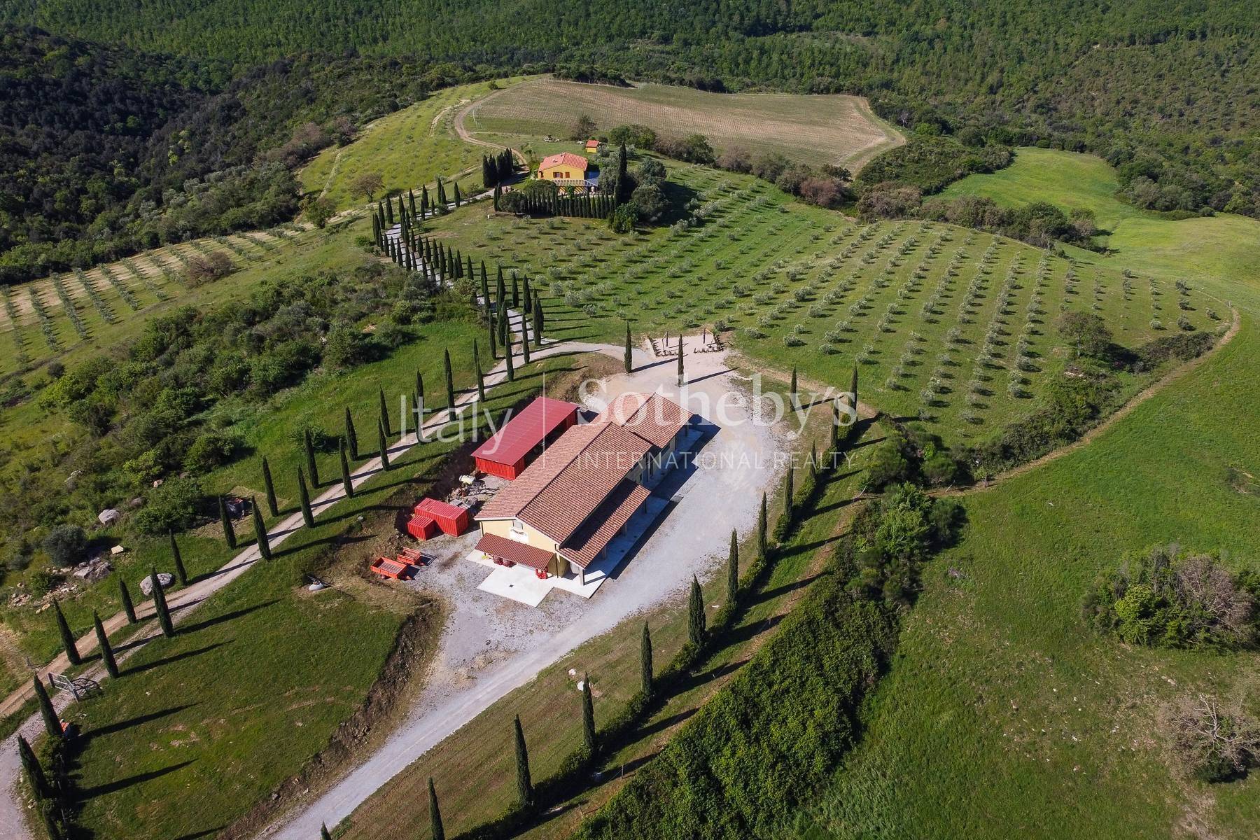  Exclusive wine estate in the Tuscan hills - 物件實景