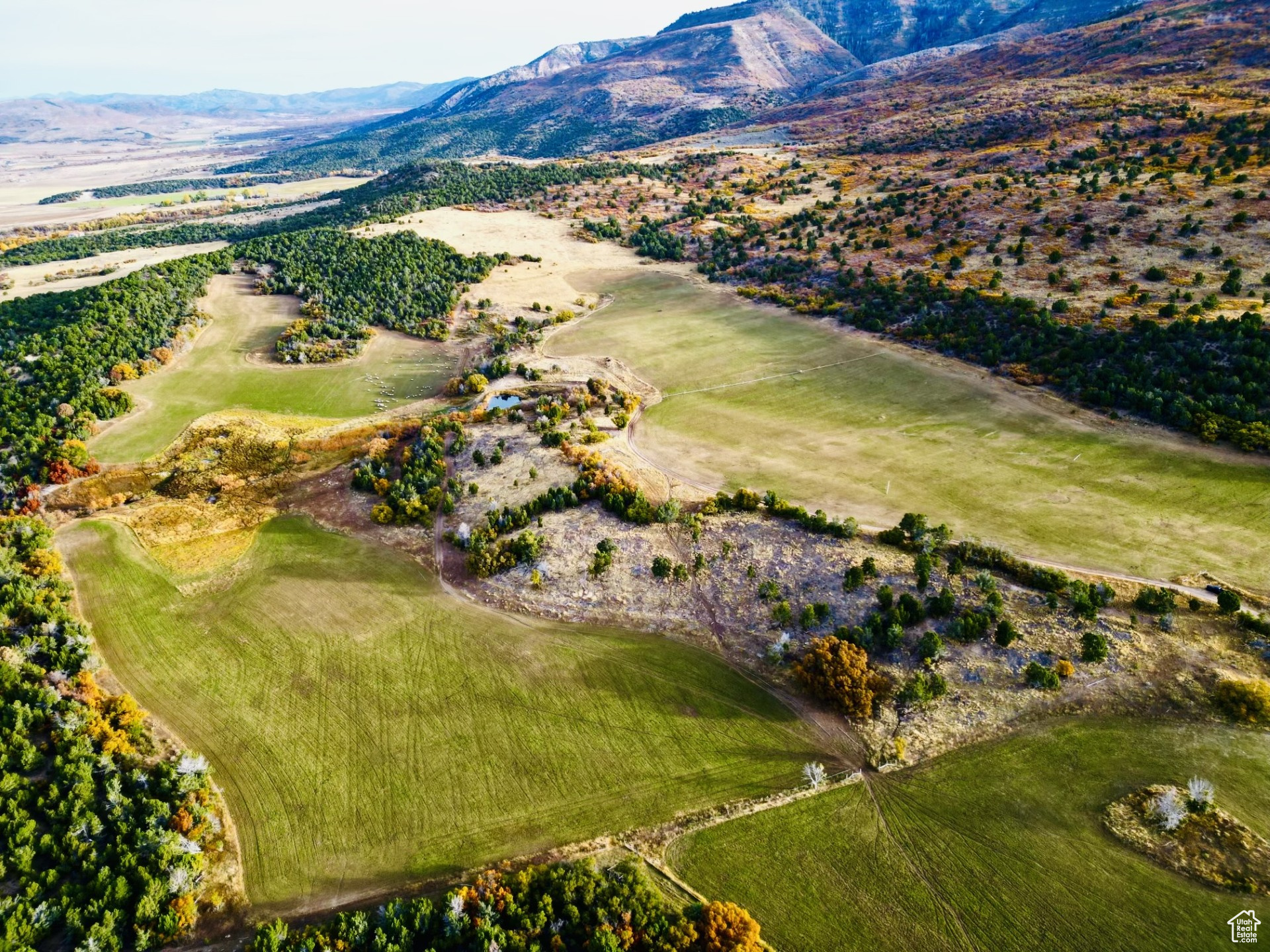 Fairview, Utah, 84629, United States, ,Land,For Sale,1796980