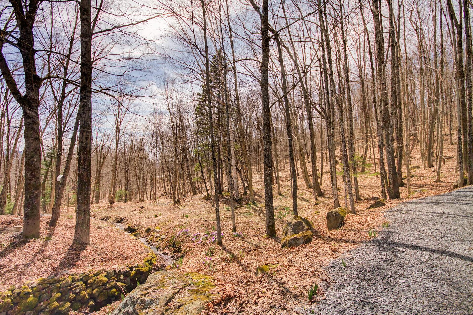  Potton, Eastern Townships - 物件實景