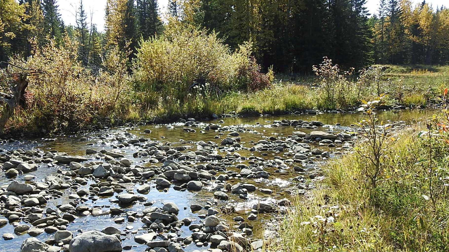 RURAL FOOTHILLS COUNTY, Alberta, T0L 1K0, CA, ,Residential,For Sale,1836944