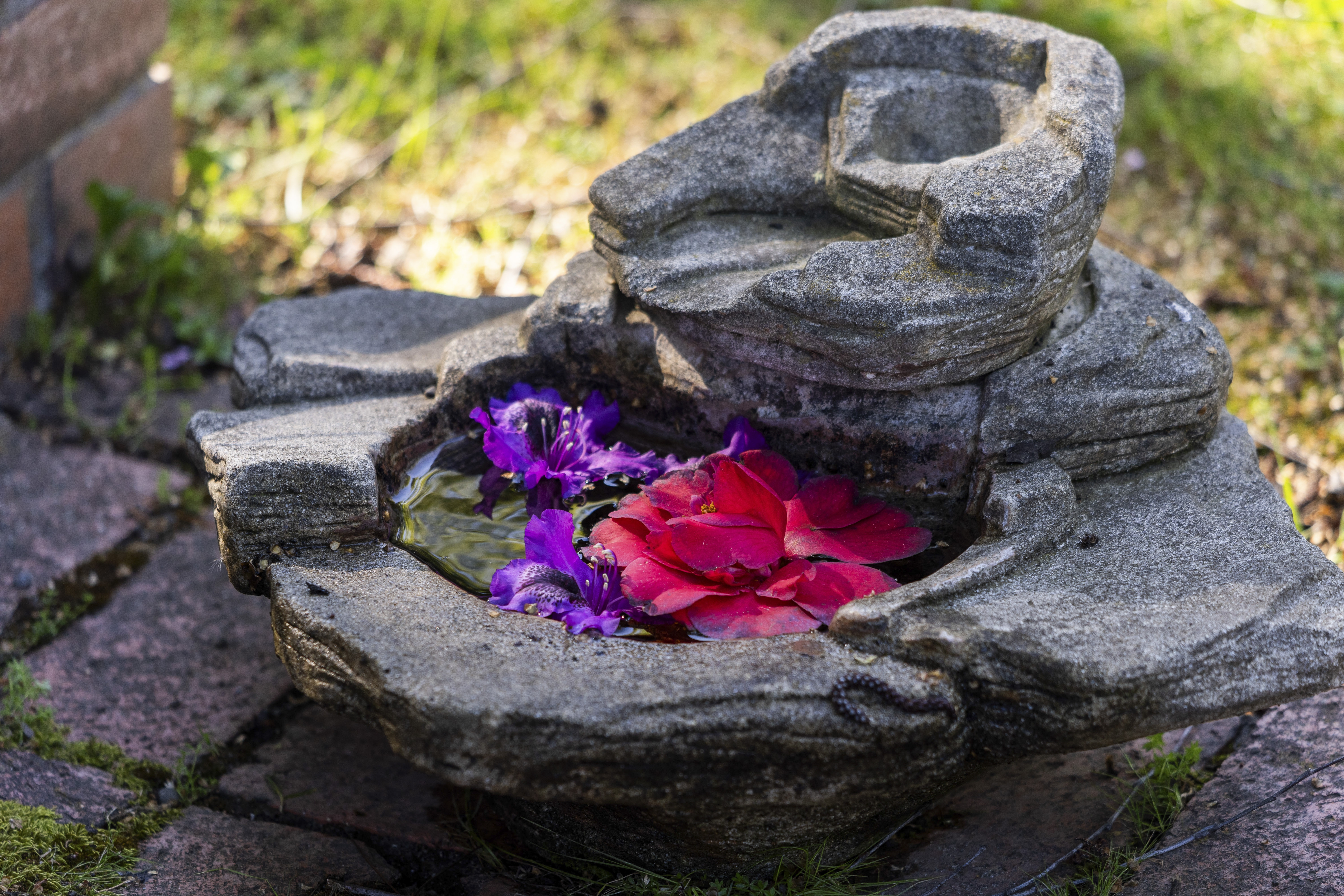  An Exceptional Wine Country Opportunity in the Heart of Yountville - 物件實景