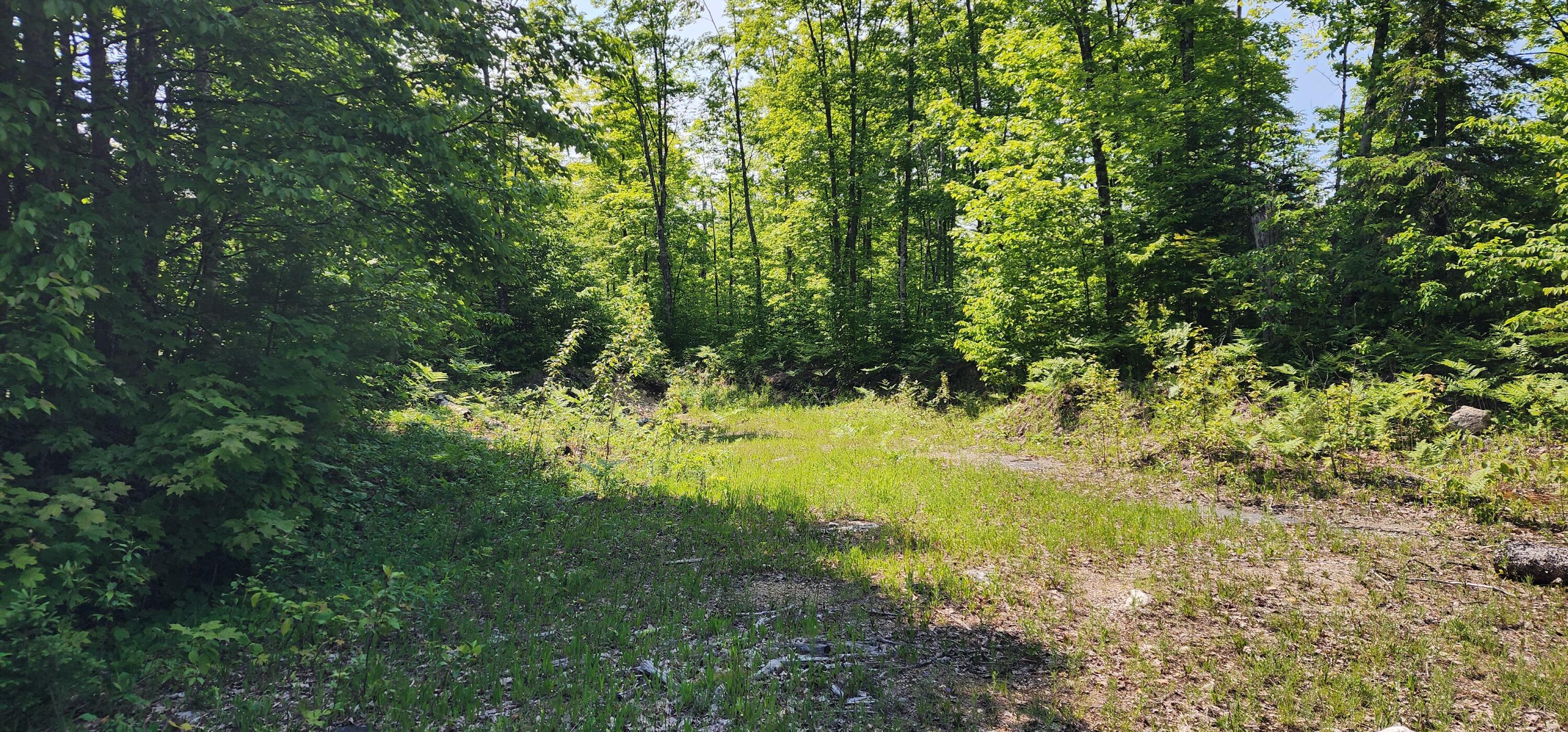 3625 E Simmons Rd RD, Hessel, Michigan, 49745, United States, ,Land,For Sale,3625 E Simmons Rd RD,1619252