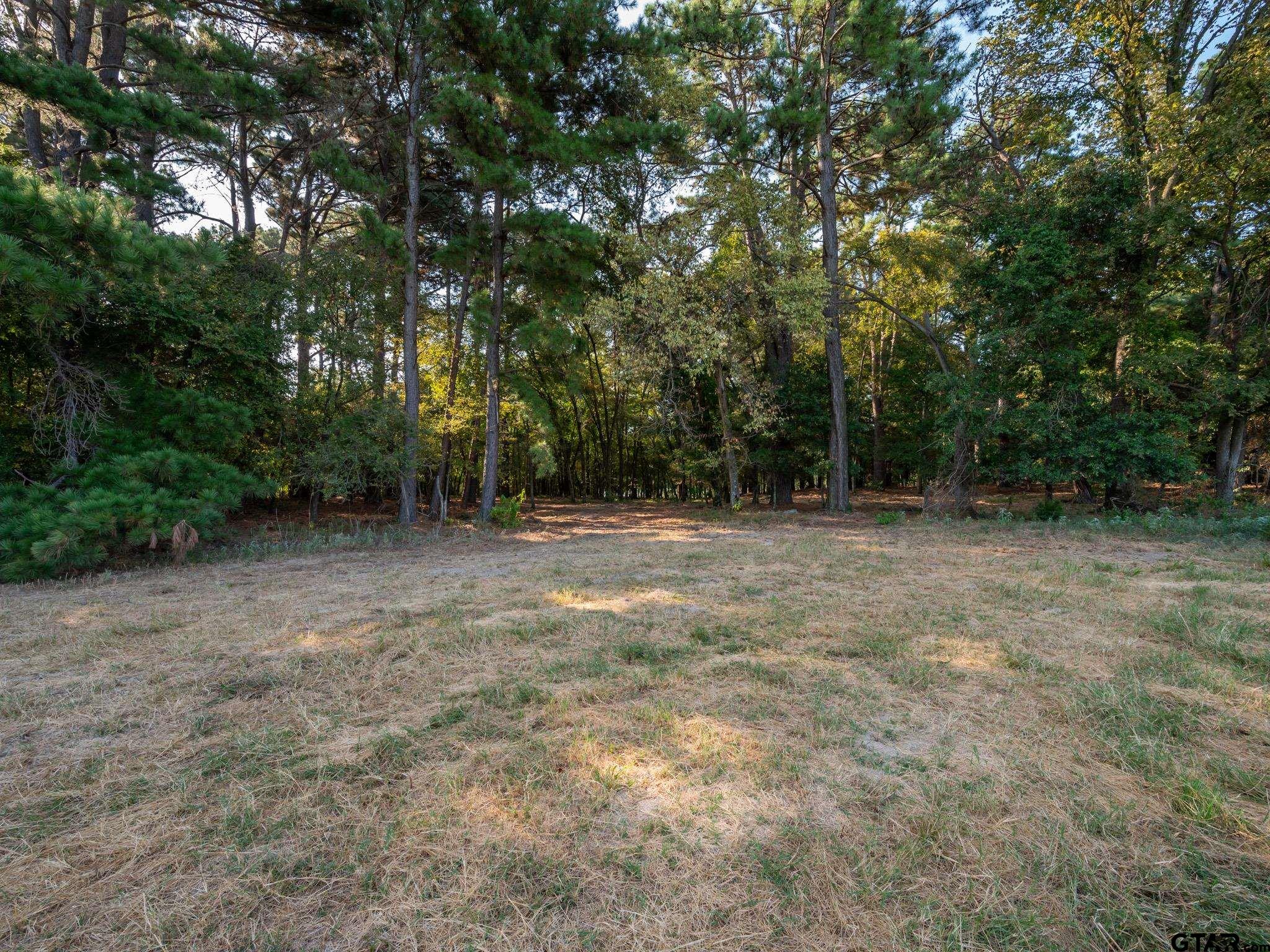 Chandler, Texas, 75758, United States, ,Land,For Sale,1826674