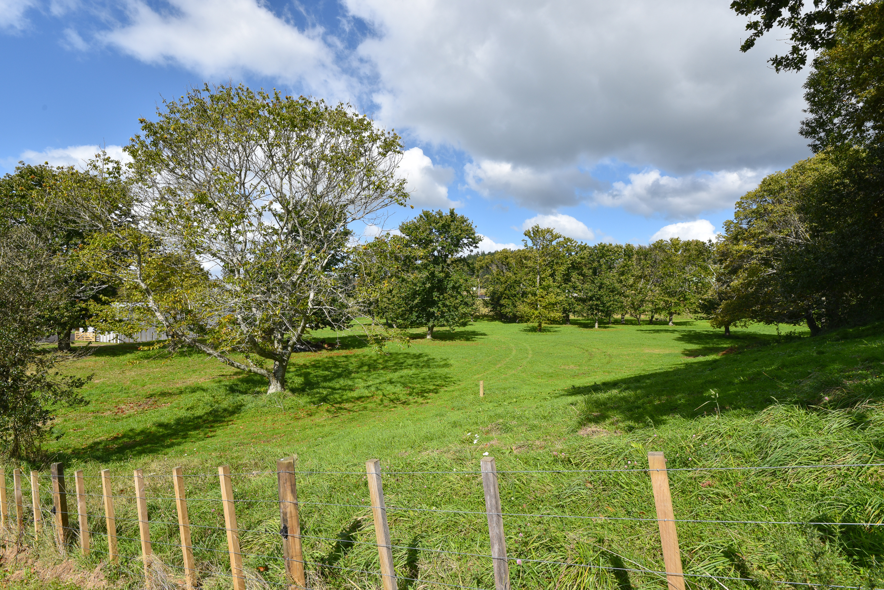  80 Hampson Place, Hamurana - 物件實景
