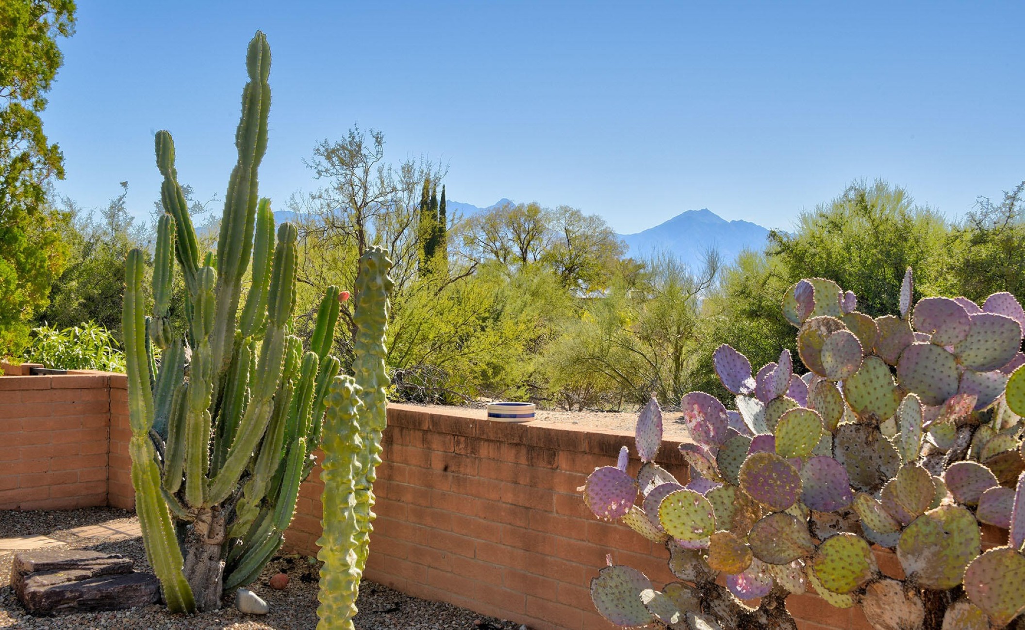  791 W Calle De Alegria, Green Valley, AZ, 85614 - 物件實景