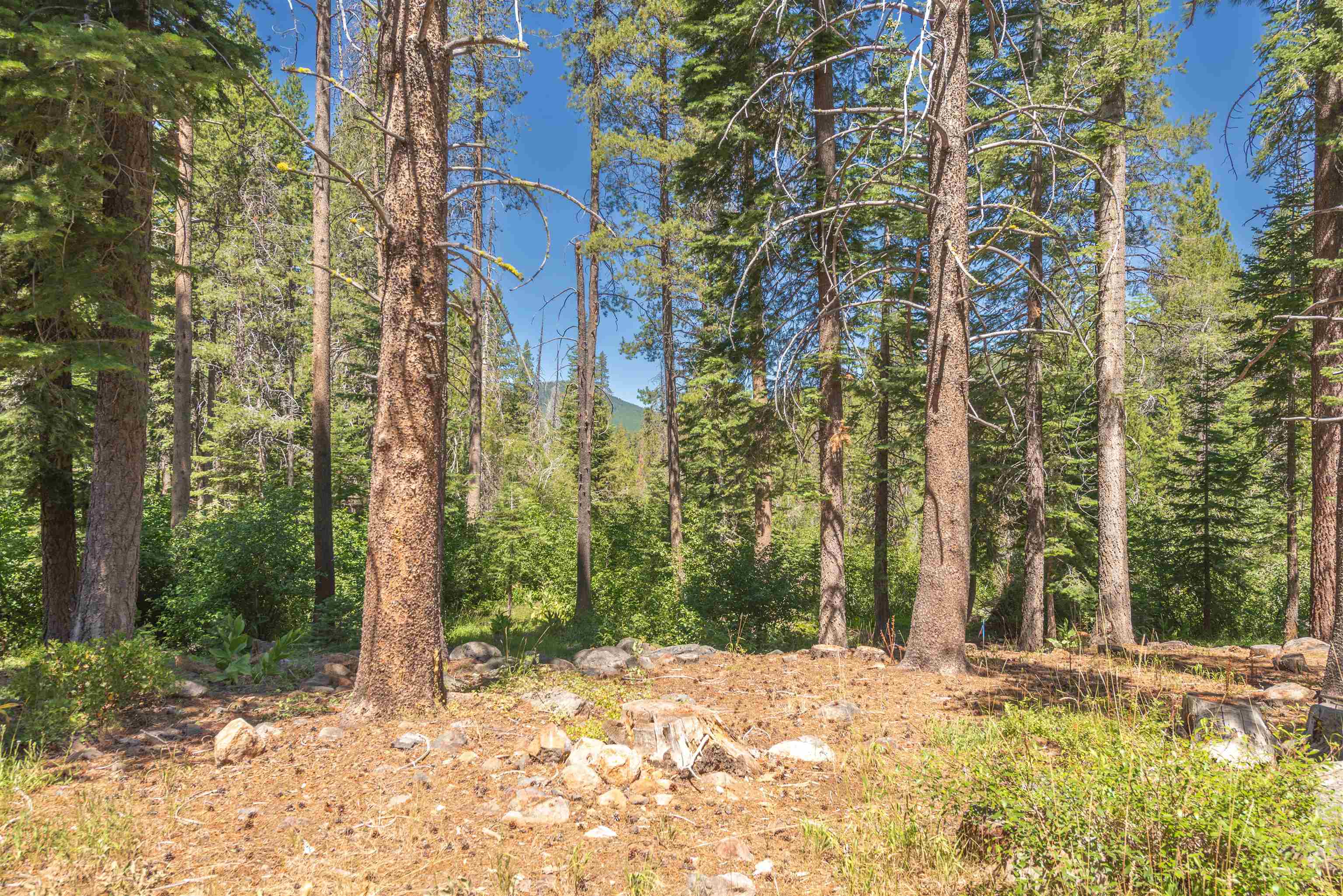 Truckee, California, 96161, United States, 3 Bedrooms Bedrooms, ,2 BathroomsBathrooms,Residential,For Sale,1917149