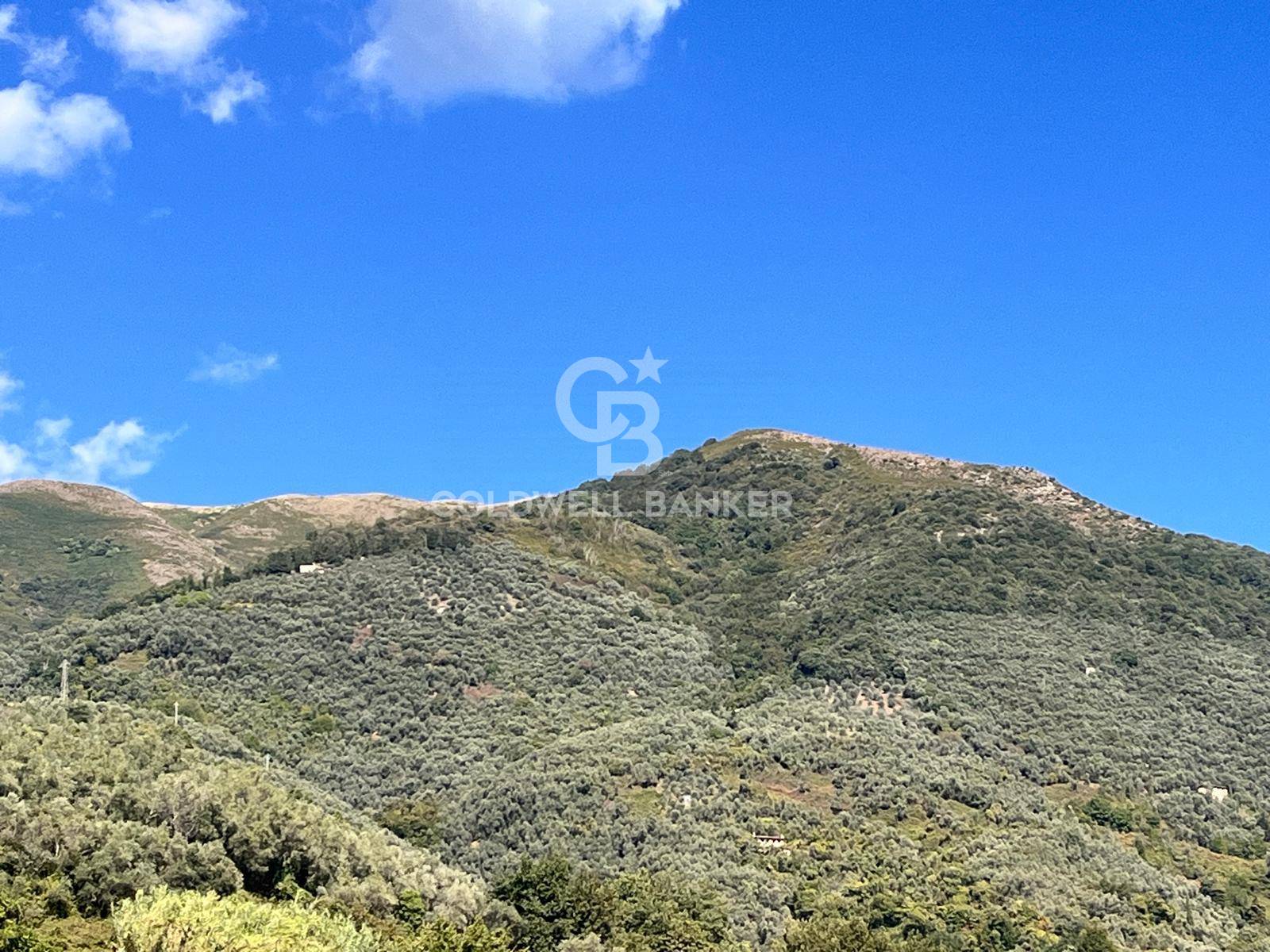 SP1 Nocchi, Camaiore, Lucca, 55041, IT, 6 Bedrooms Bedrooms, ,5 BathroomsBathrooms,Residential,For Sale,SP1 Nocchi,1673439