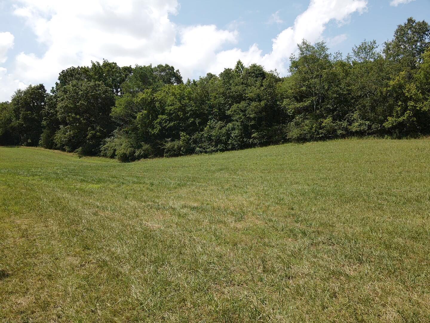 Bryant, Alabama, 35958, United States, ,Land,For Sale,1982684