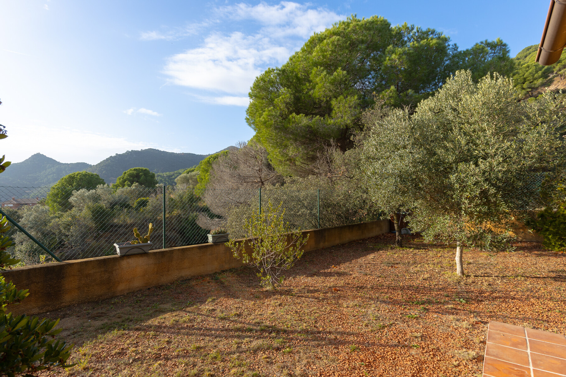  Mediterranean villa with sea views and maximum privacy at 35 min from Barcelona - 物件實景