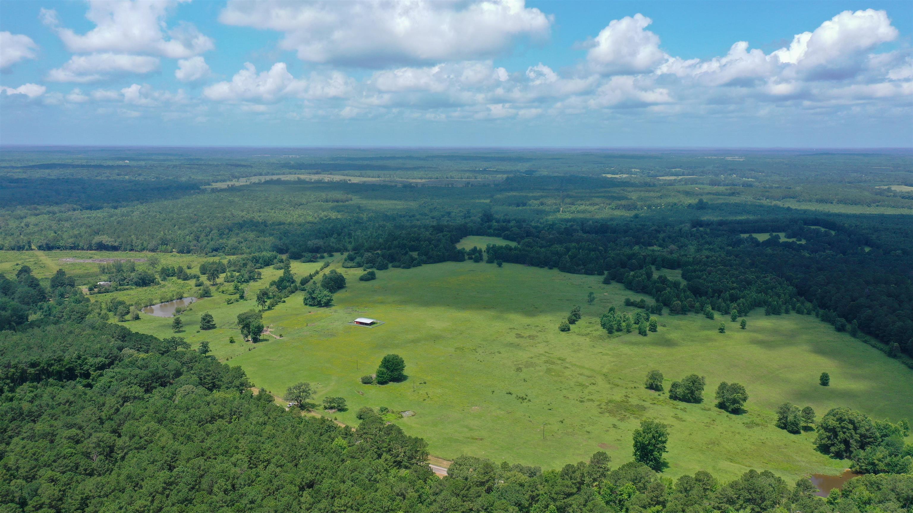 Linden, Texas, 75563, United States, ,Land,For Sale,1975448