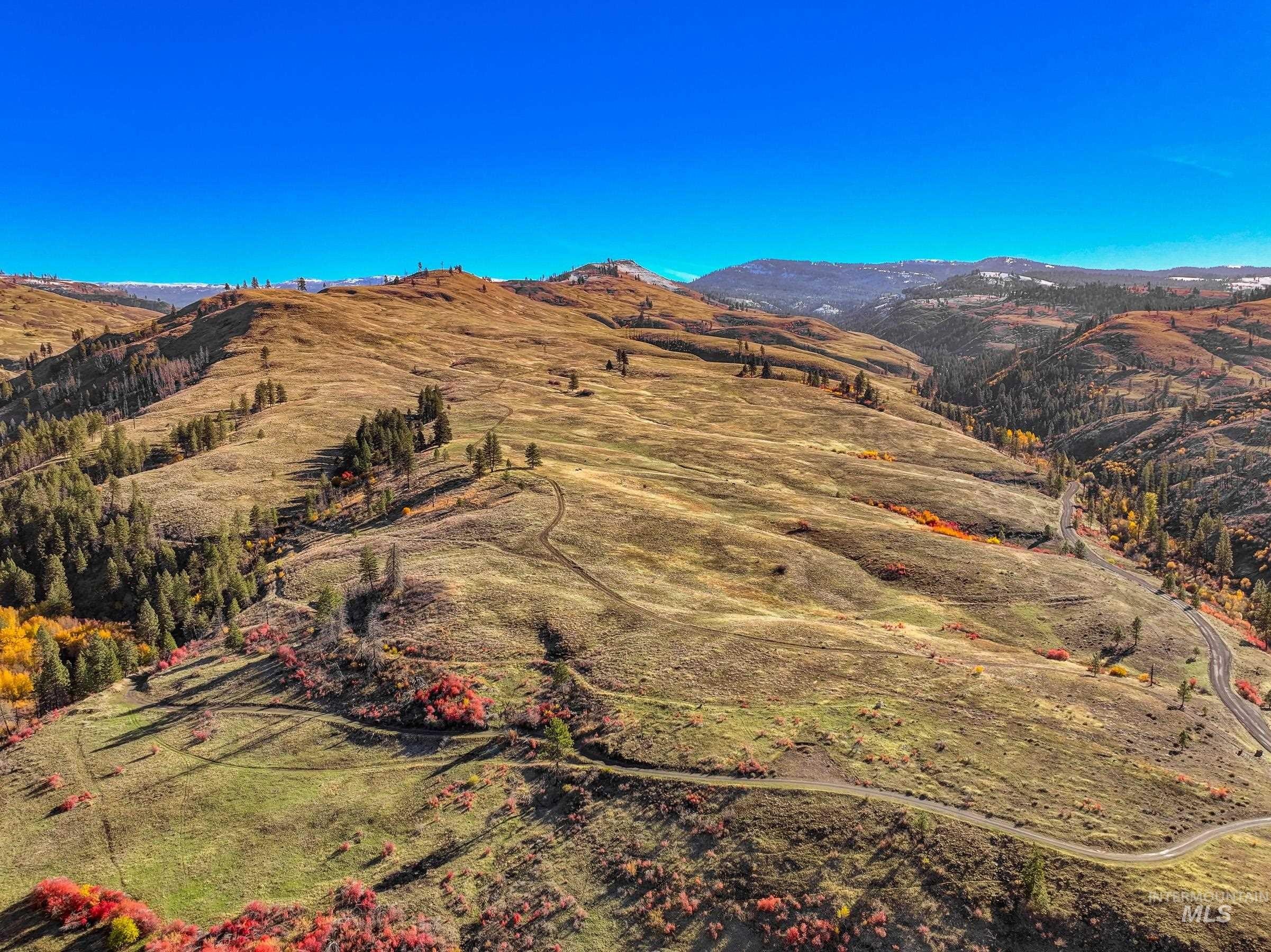 Council, Idaho, 83612, United States, ,Residential,For Sale,1975334