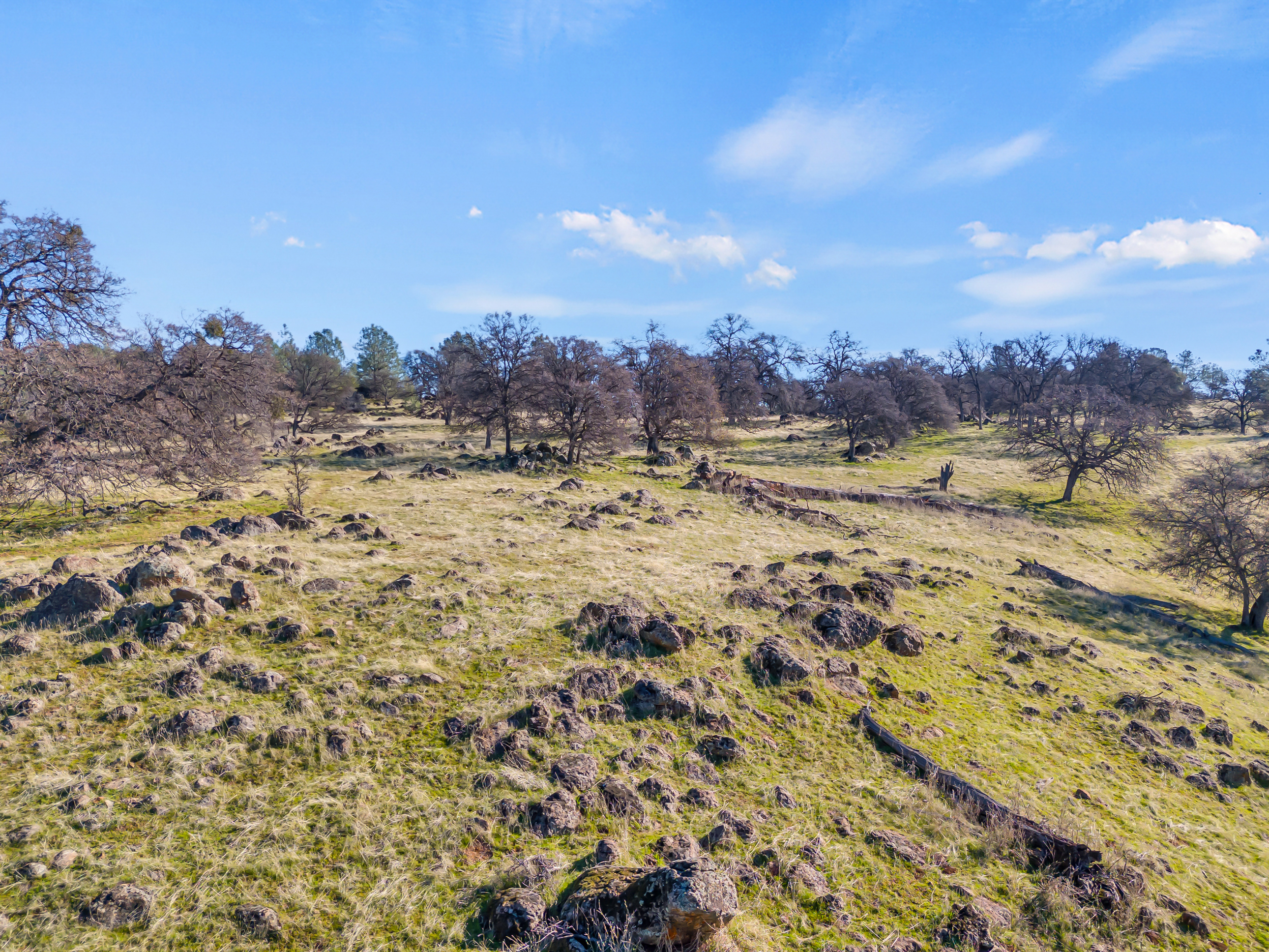  23443 Corino Way, Grass Valley, CA 95949 - 物件實景