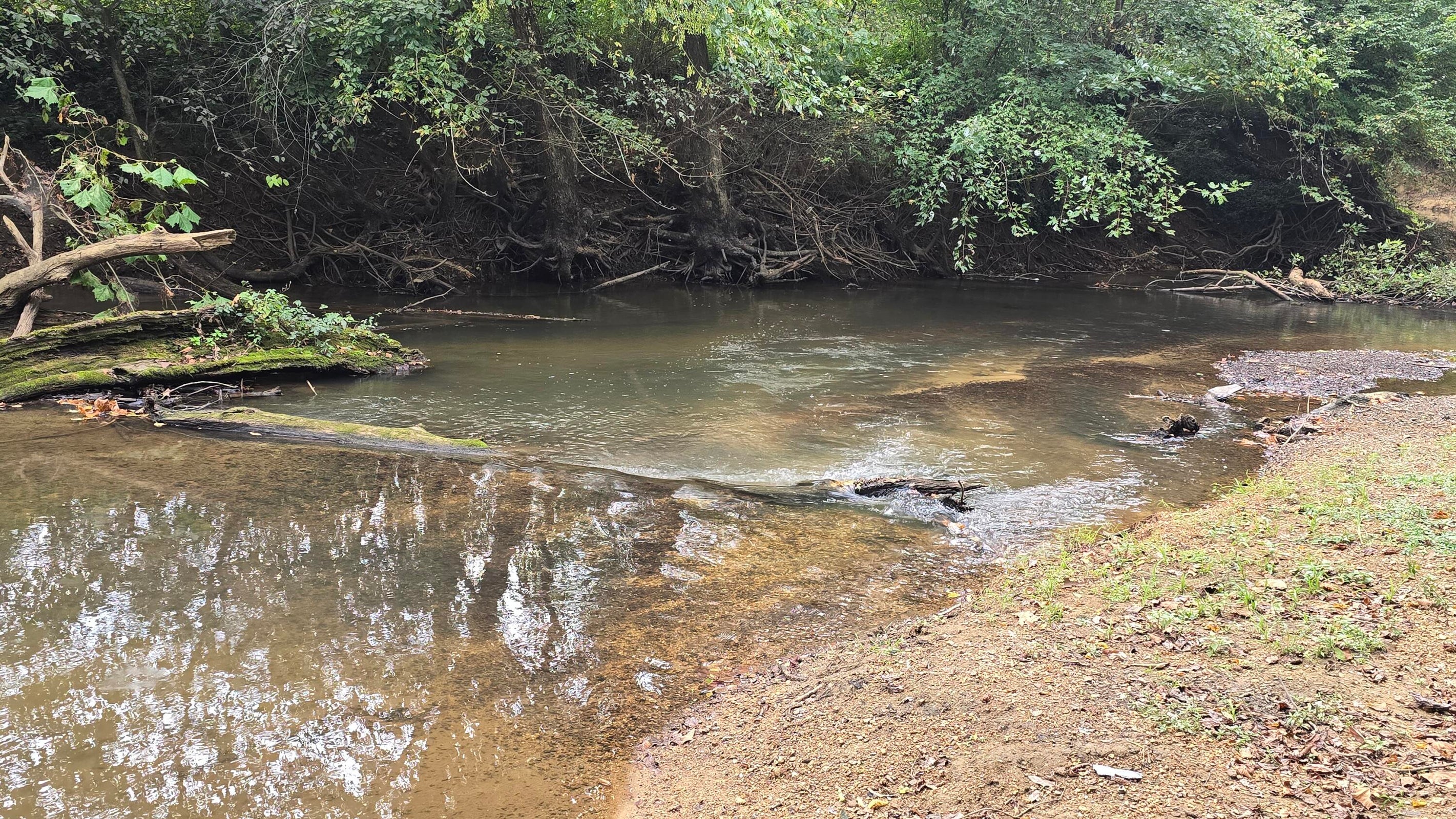 Pikeville, Tennessee, 37367, United States, ,Land,For Sale,1978902