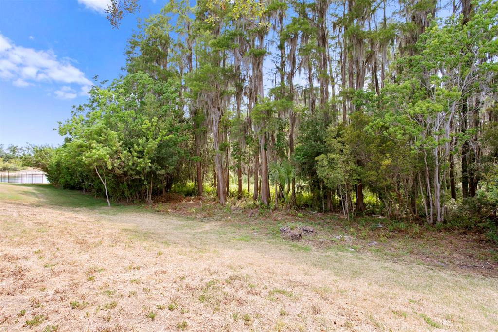 Lutz, Florida, 33558, United States, 4 Bedrooms Bedrooms, ,2 BathroomsBathrooms,Residential,For Sale,1760226