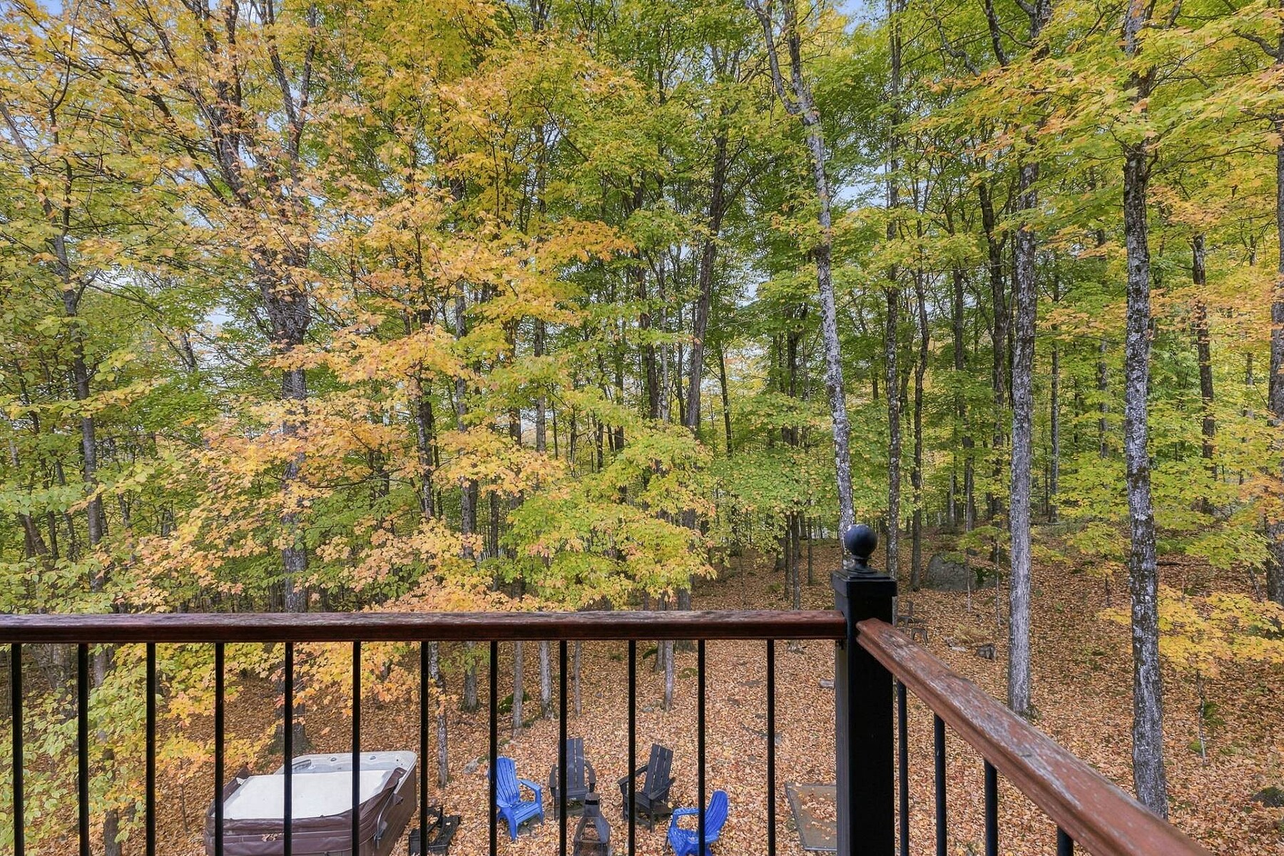  Mont-Tremblant, Laurentides - 物件實景