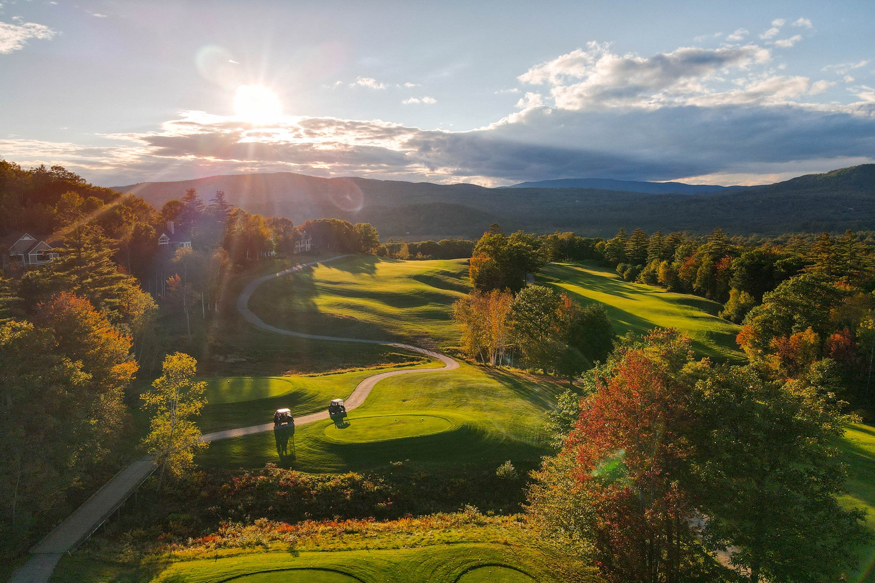  6 Benjamin Lane - 物件實景