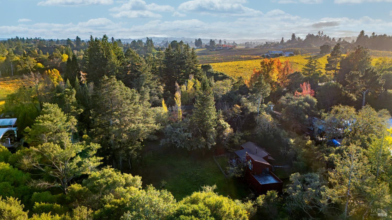 Sebastopol, California, 95472, United States, 3 Bedrooms Bedrooms, ,2 BathroomsBathrooms,Residential,For Sale,1997053