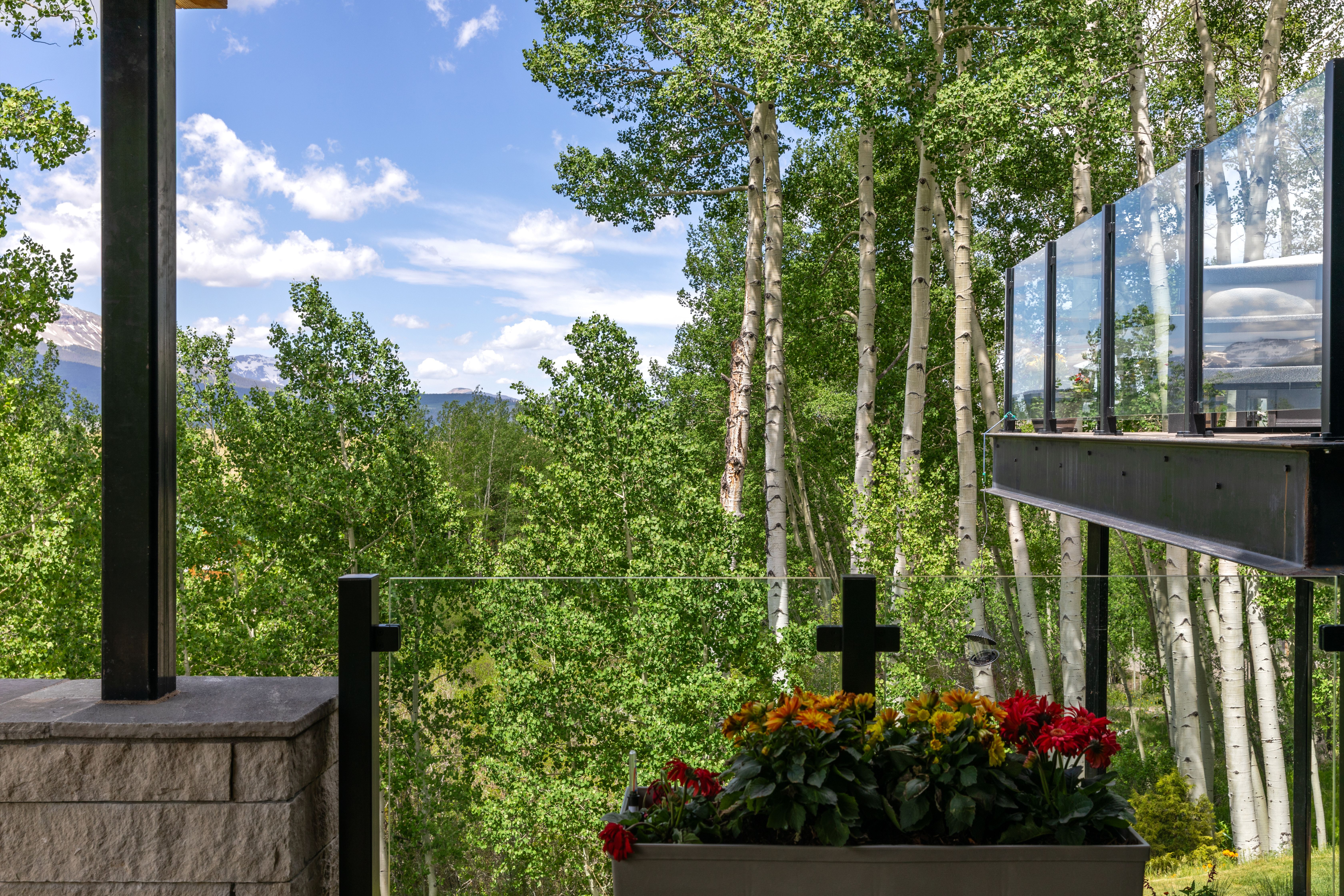  Secluded 4 Bed / 4 Bath Telluride Property - 物件實景