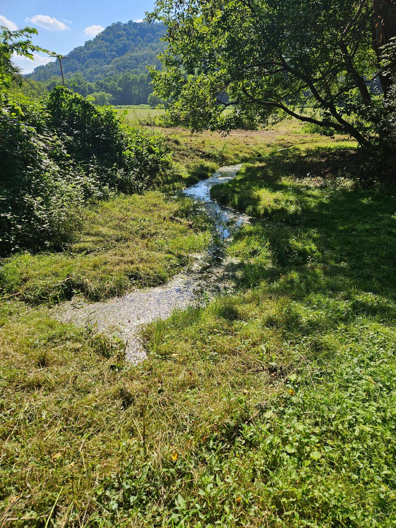 Winona, Minnesota, 55987, United States, 5 Bedrooms Bedrooms, ,2 BathroomsBathrooms,Residential,For Sale,2005788