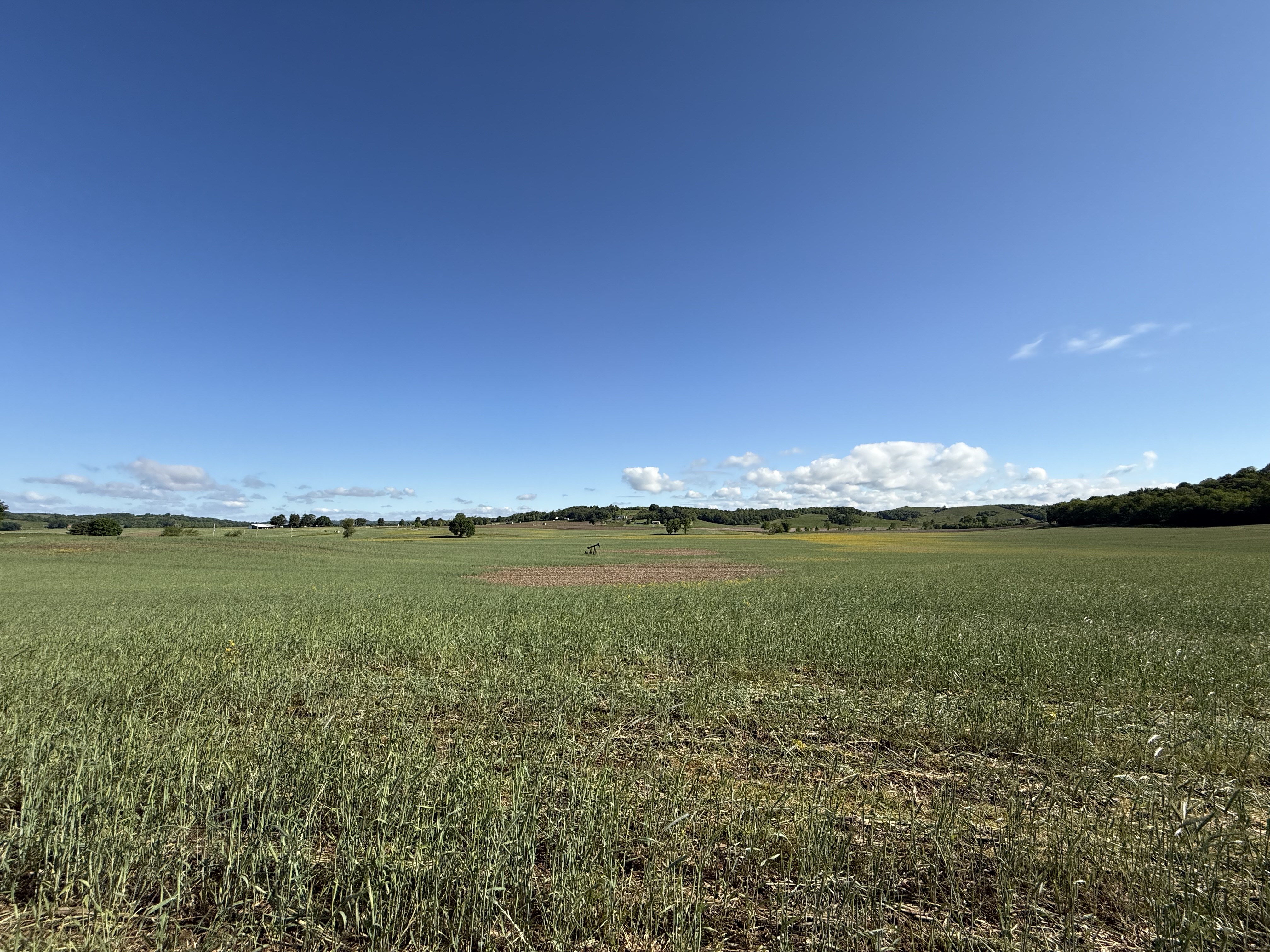 West Lafayette, Ohio, 43845, United States, ,Residential,For Sale,1825407