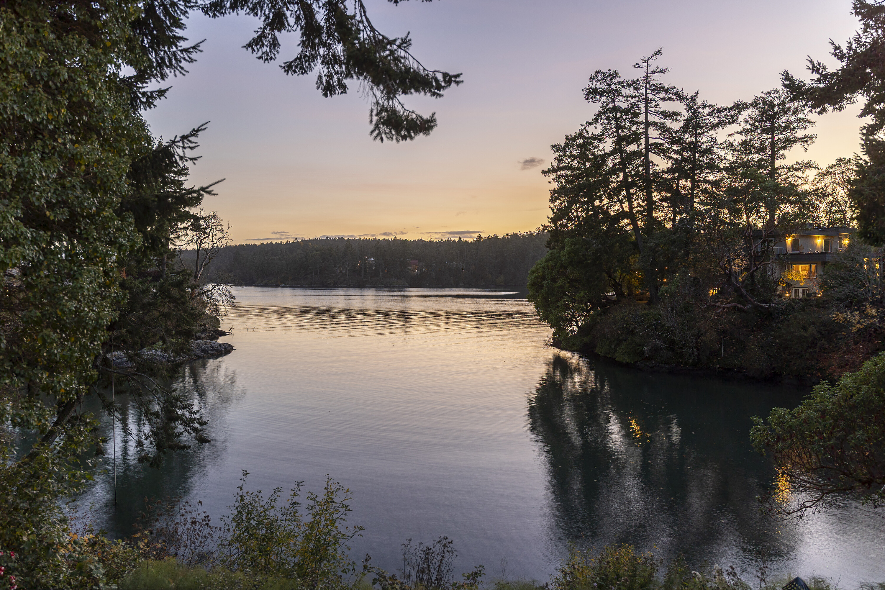  Upscale Waterfront Oasis - 物件實景