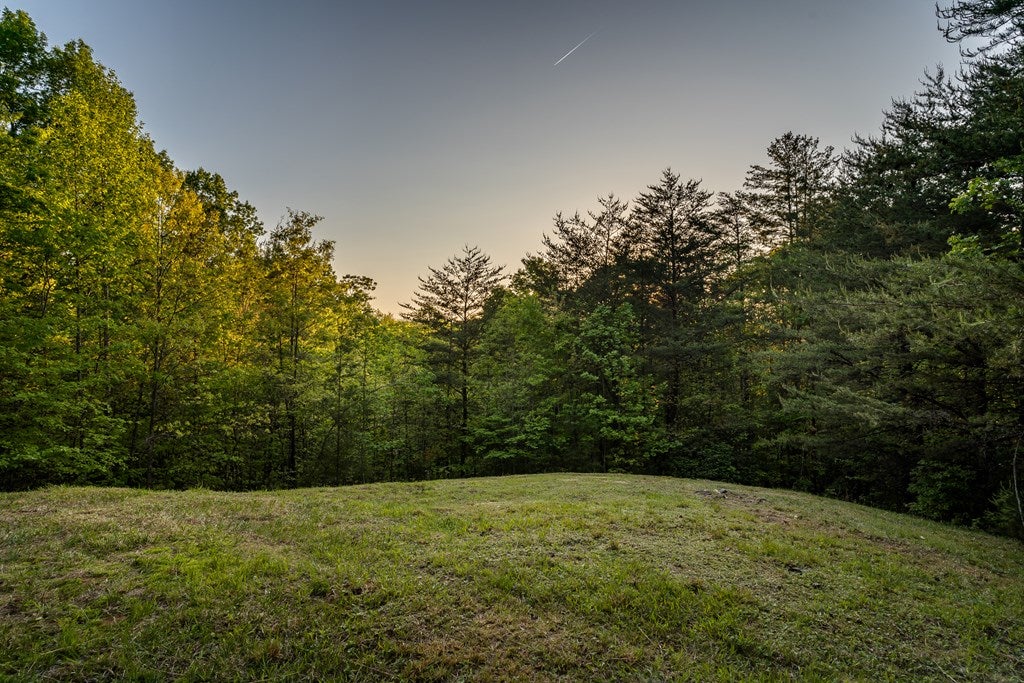 Mineral Bluff, Georgia, 30559, United States, 3 Bedrooms Bedrooms, ,3 BathroomsBathrooms,Residential,For Sale,1986292