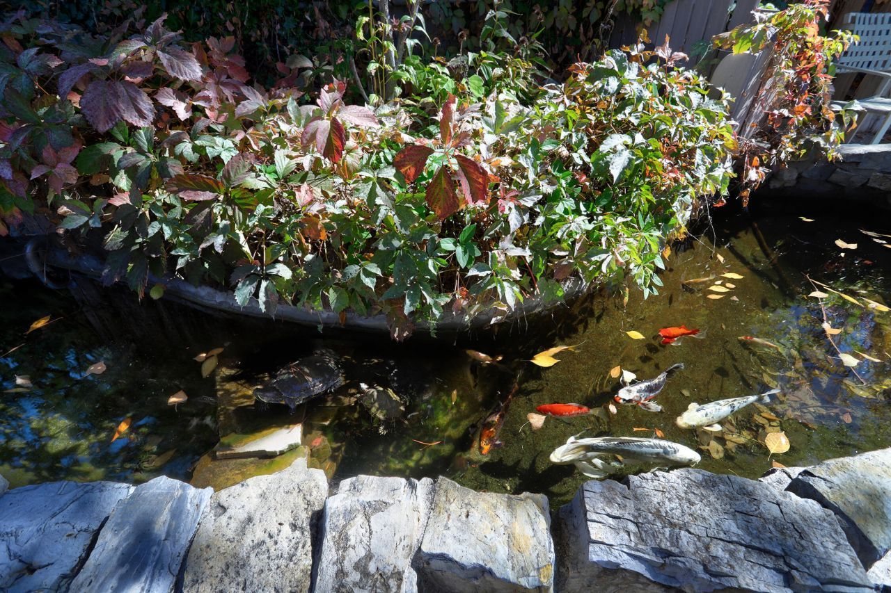 Albuquerque, New Mexico, 87109, United States, 3 Bedrooms Bedrooms, ,2 BathroomsBathrooms,Residential,For Sale,1970337