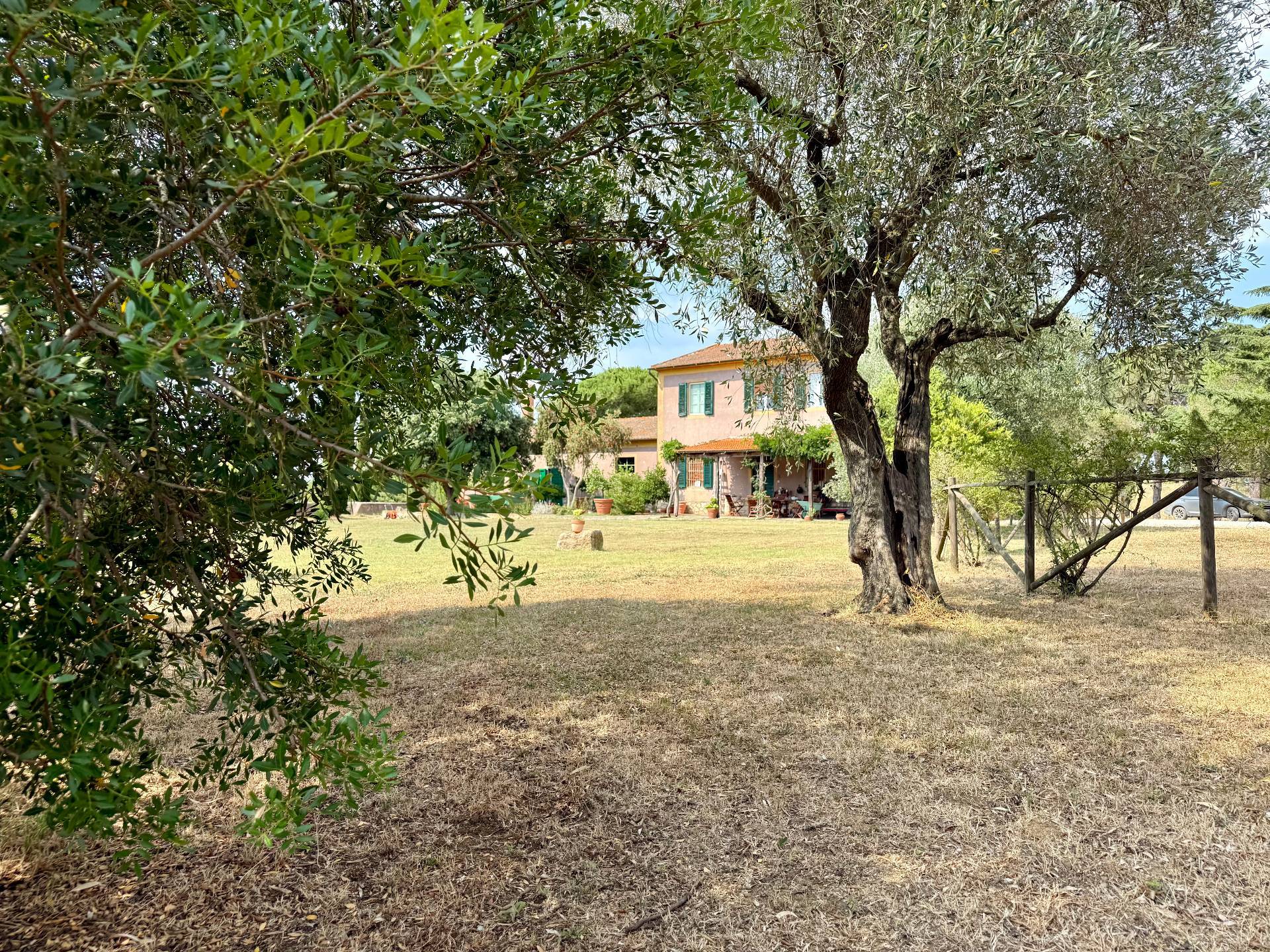 Magliano in Toscana, Grosseto, 58051, IT, 5 Bedrooms Bedrooms, ,3 BathroomsBathrooms,Residential,For Sale,1885318