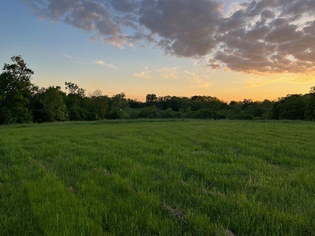 Bentonville, Arkansas, 72712, United States, ,Land,For Sale,1993490