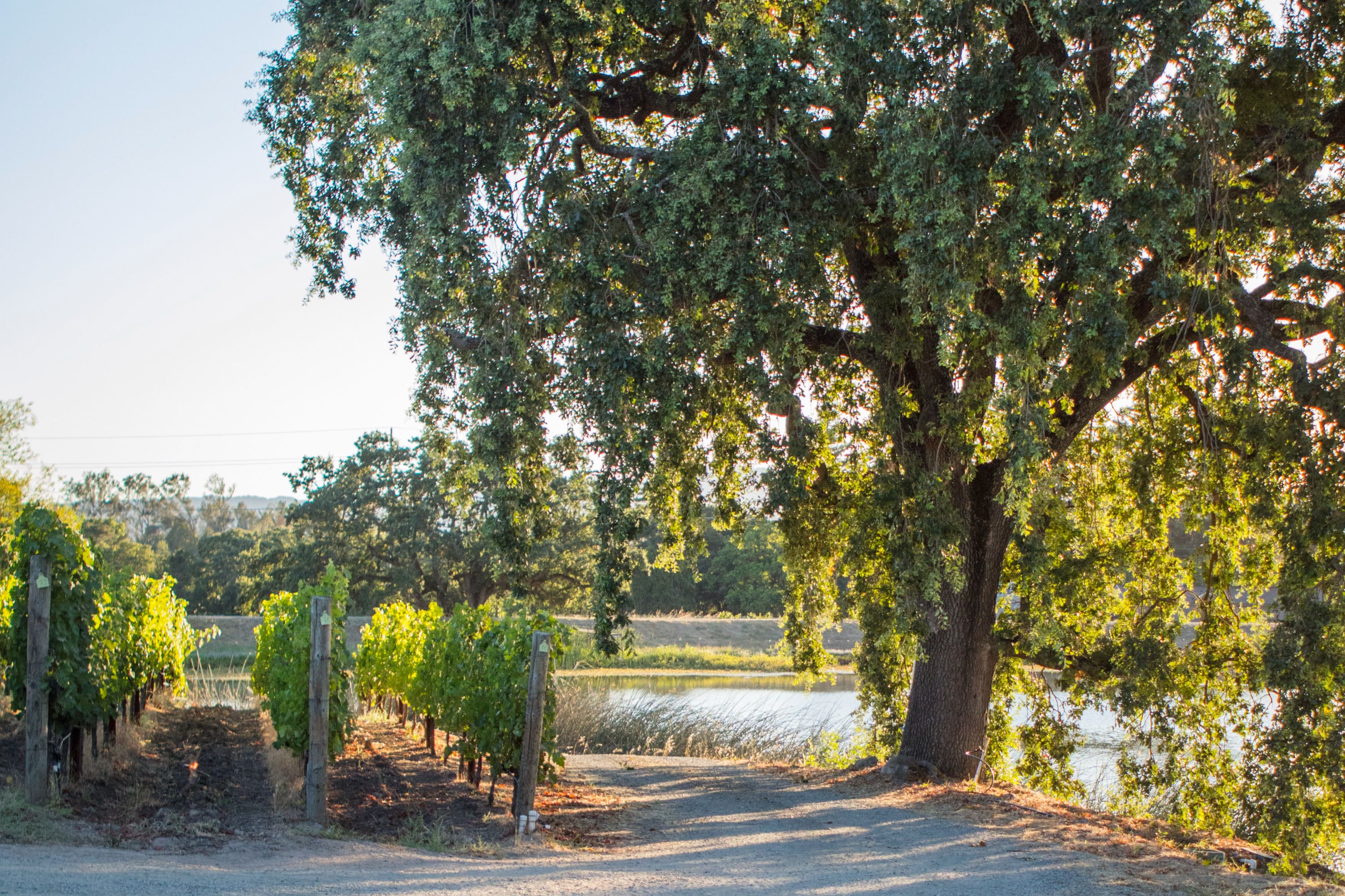  Krupp Brothers Estate - 物件實景