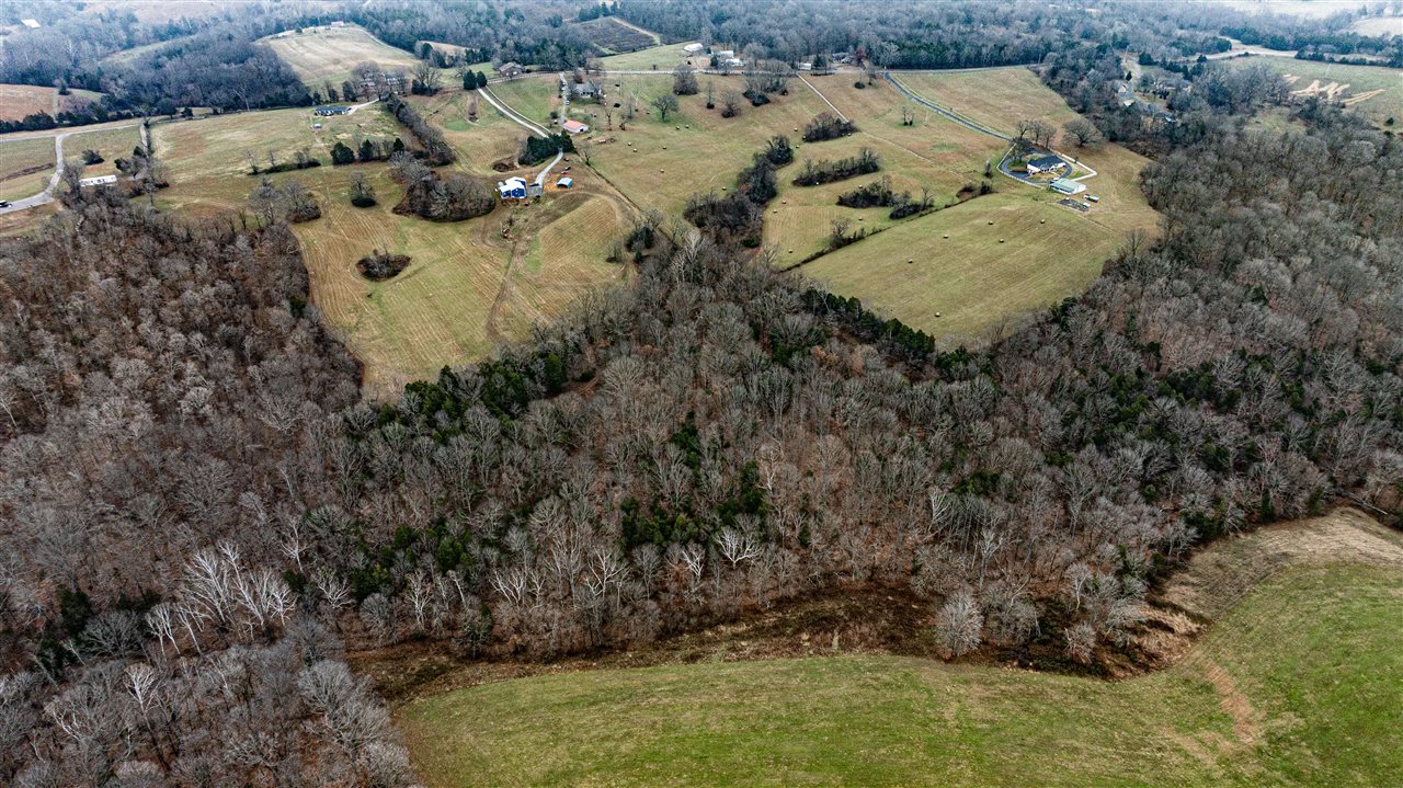 Scottsville, Kentucky, 42164, United States, 4 Bedrooms Bedrooms, ,4 BathroomsBathrooms,Residential,For Sale,2001662