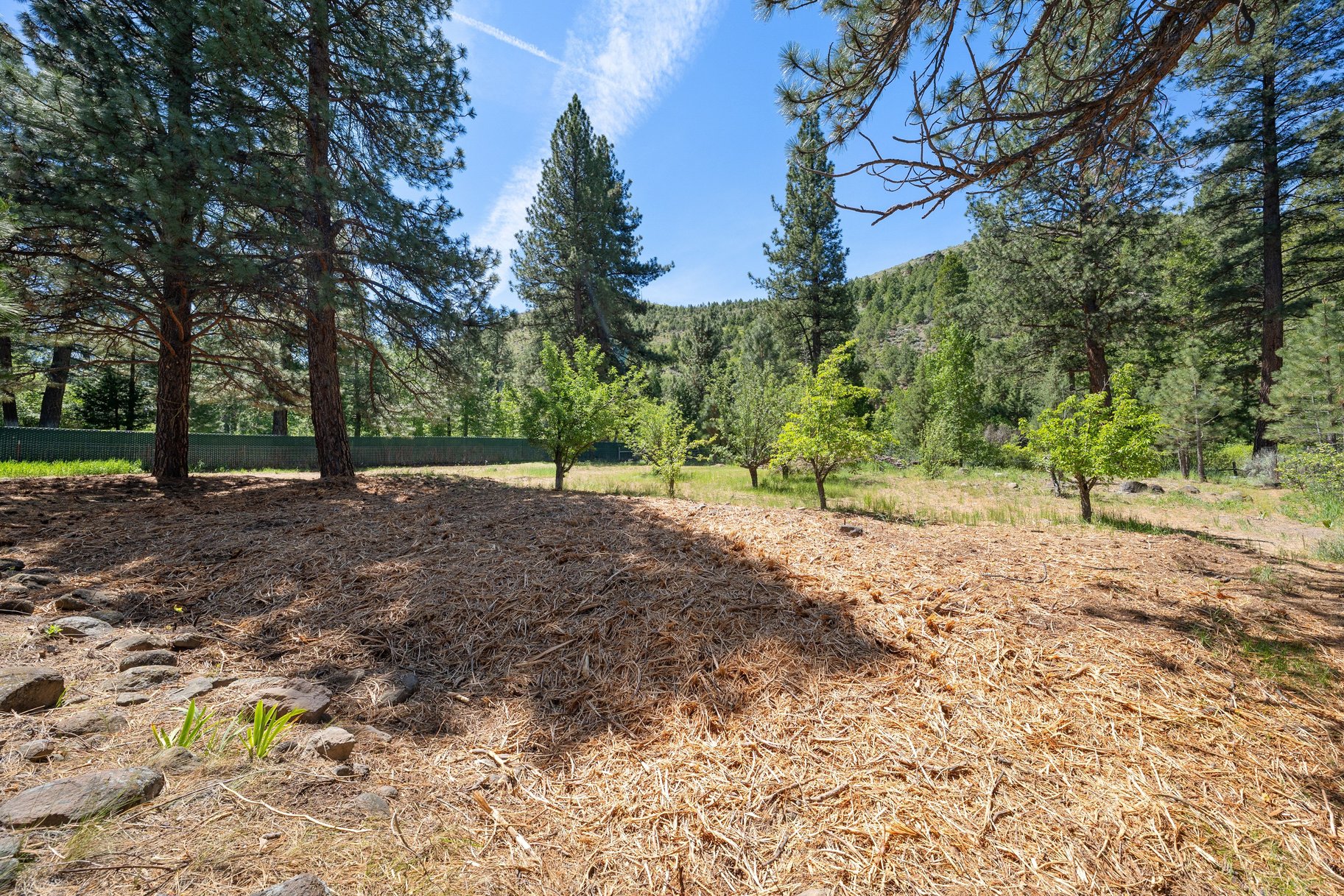  Sweet home on 1.24 acres in Sierra Brooks - 物件實景
