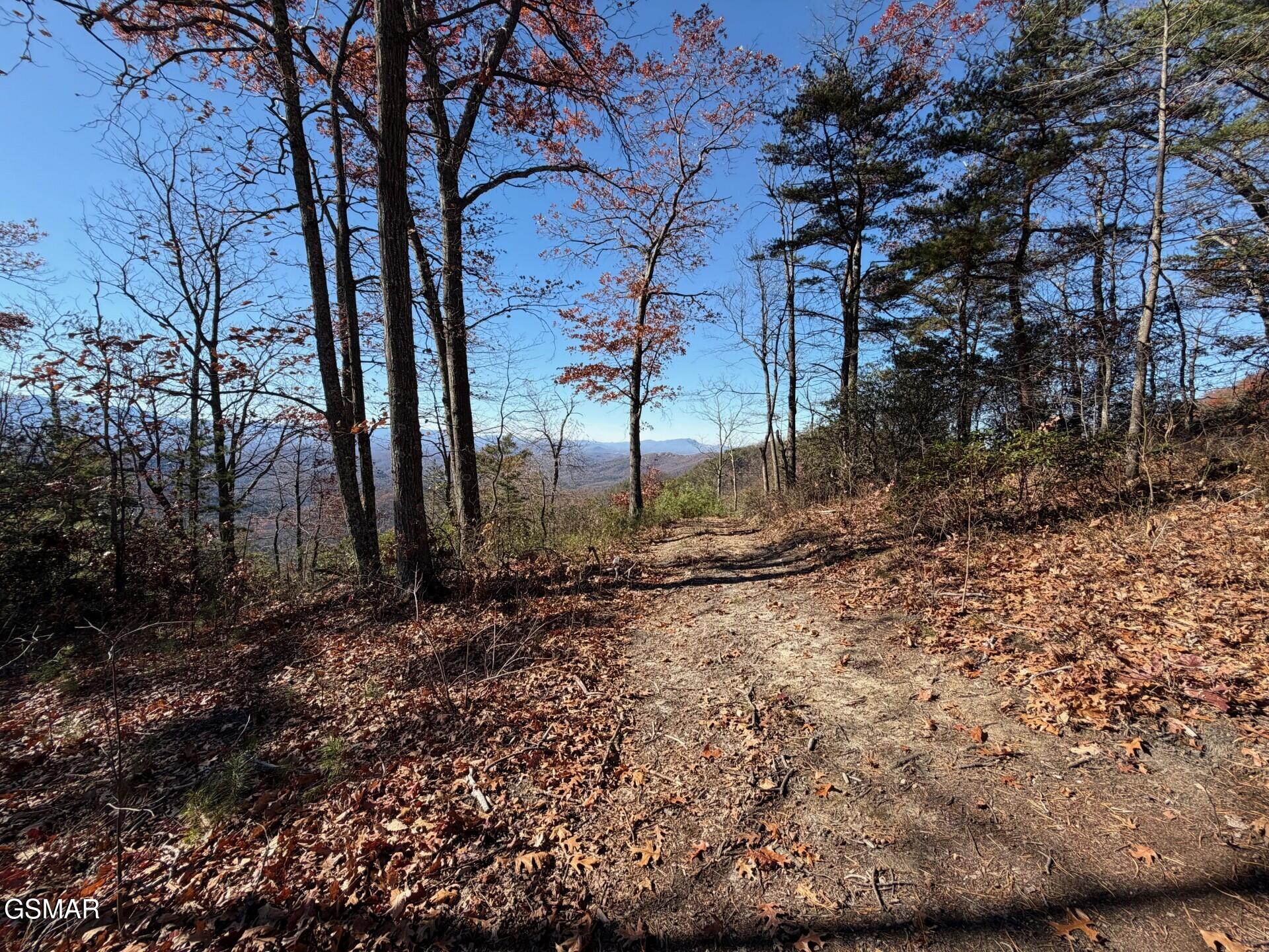 Sevierville, Tennessee, 37876, United States, ,Land,For Sale,2008093