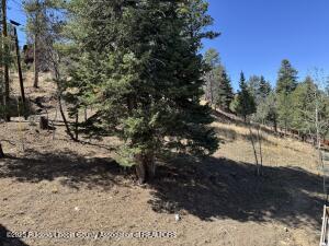 Ruidoso, New Mexico, 88345, United States, 3 Bedrooms Bedrooms, ,3 BathroomsBathrooms,Residential,For Sale,1770584