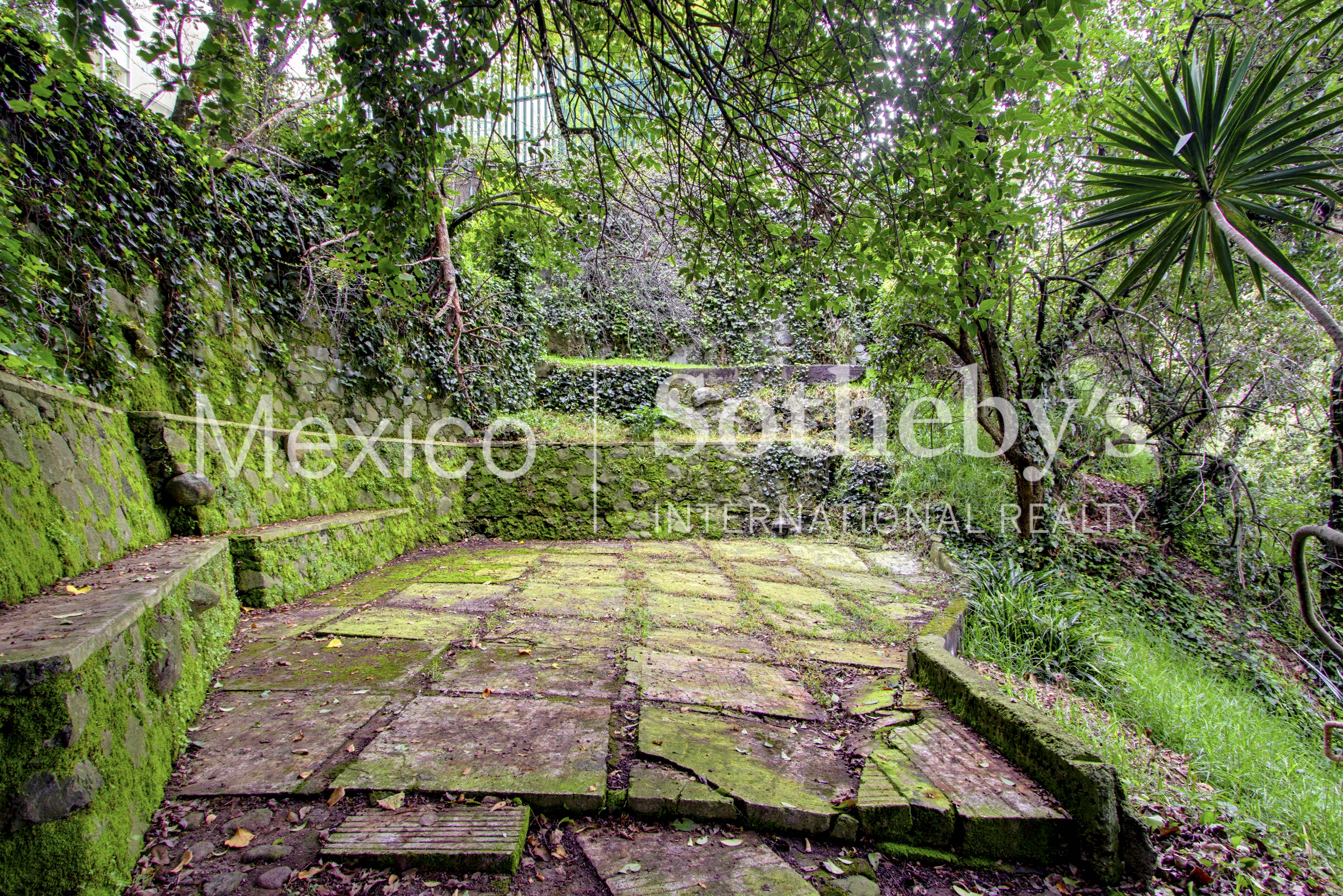  Terreno En Venta En Lomas De Vista Hermosa, Cuajimalpa - 物件實景