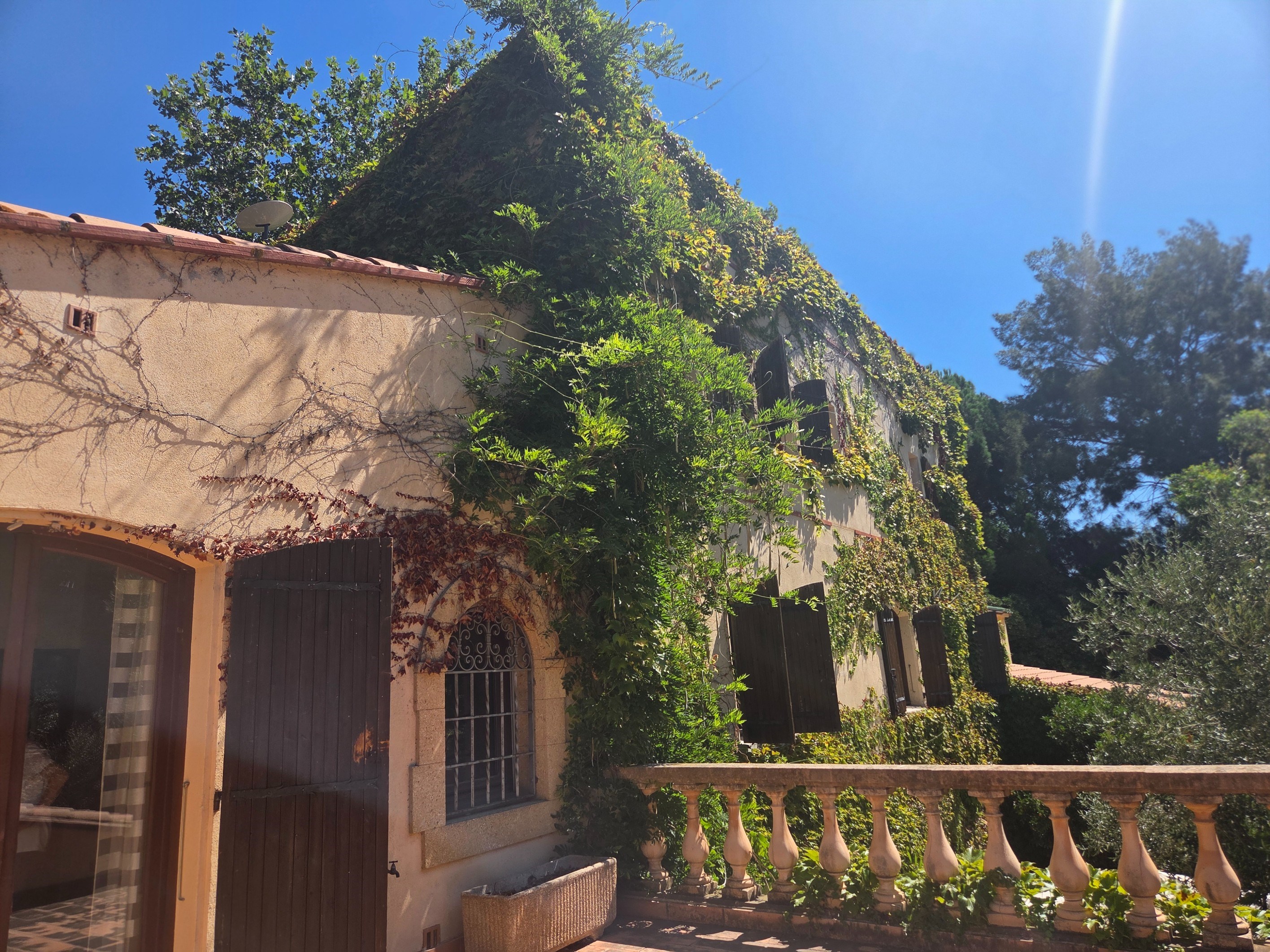  LA BELLE ENDORMIE – ON THE DOORSTEP OF PERPIGNAN - 物件實景