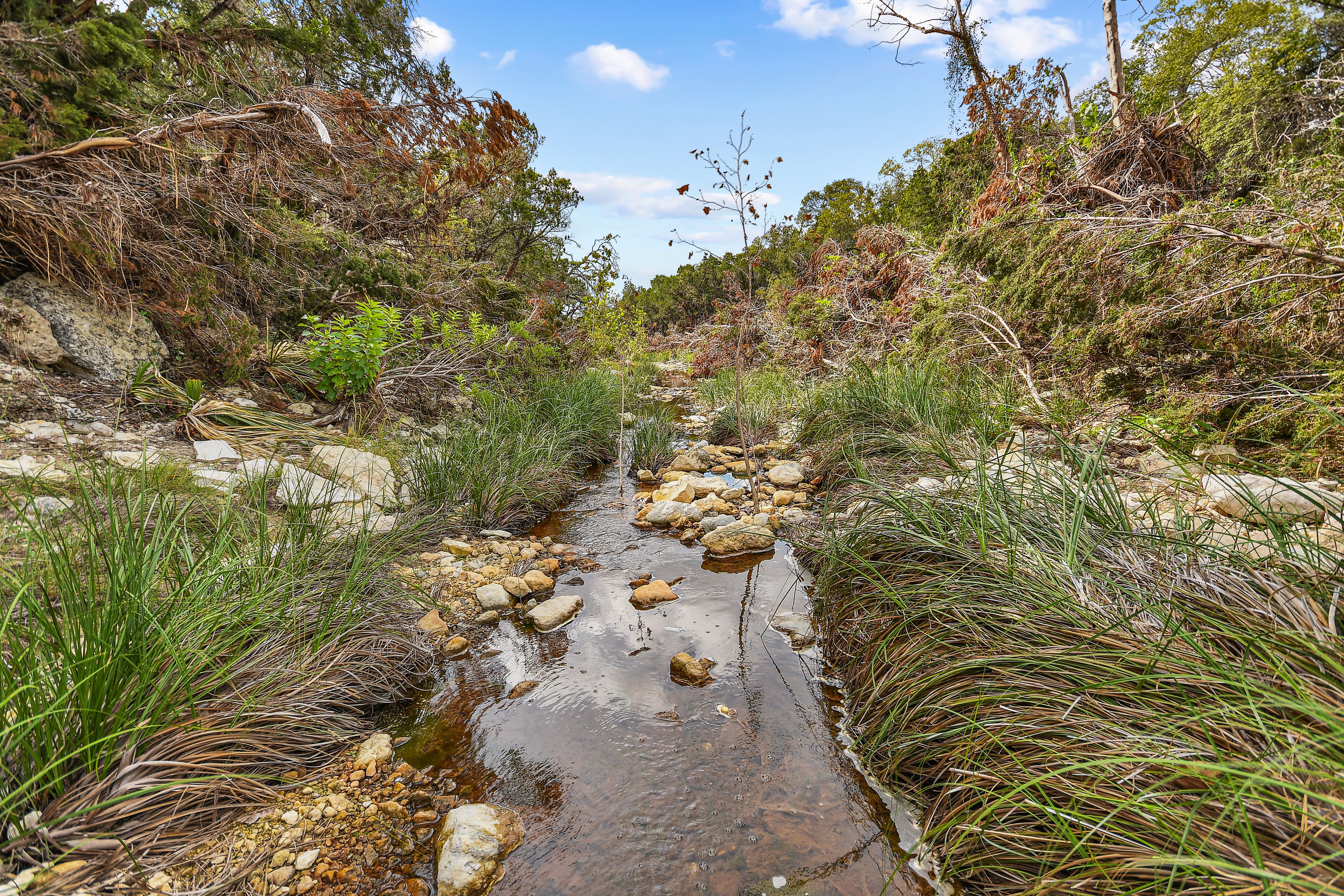  TBD Hwy 46 / Madrona Ranch Road, Pipe Creek, TX 78063 - 物件實景