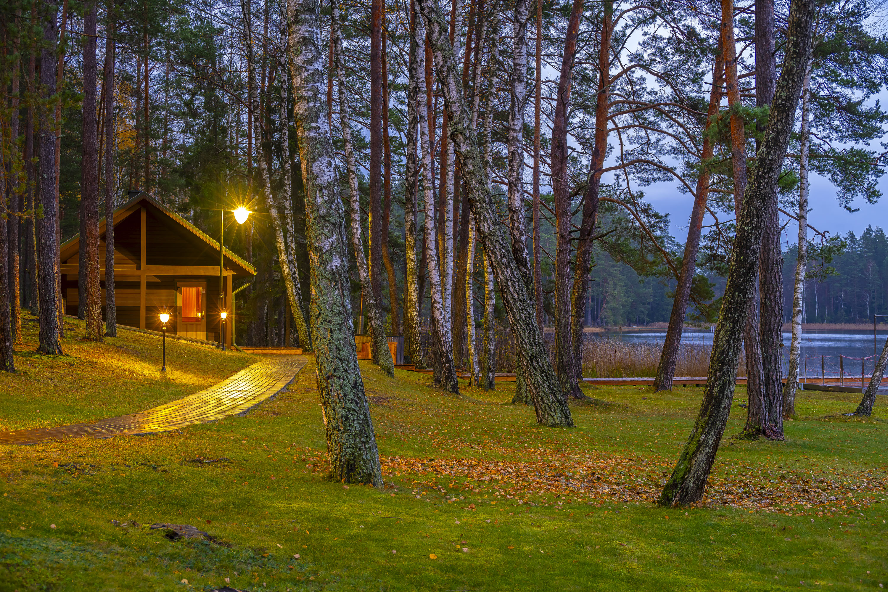  Surrounded by Nature: A Homestead with a Gym in Labanoras - 物件實景