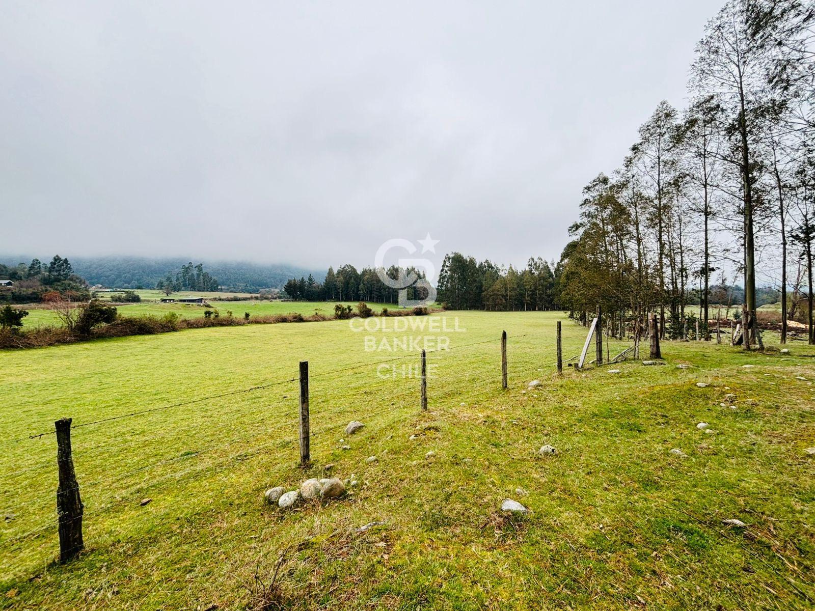 Futrono, Chile, ,Residential,For Sale,1934397