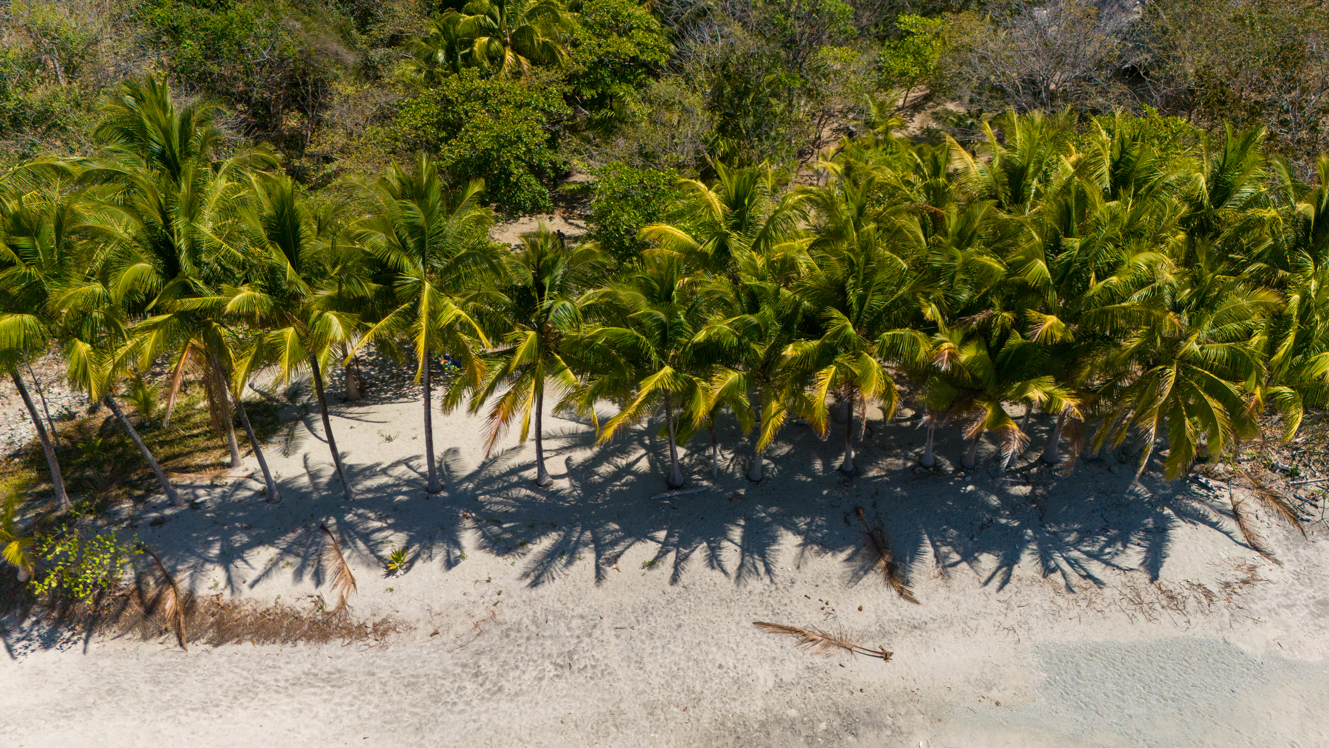 Nosara, Guanacaste, CR, ,Land,For Sale,1628483