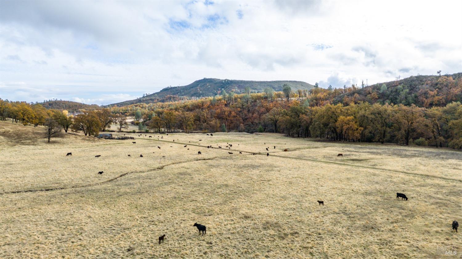 Lower Lake, California, 95457, United States, ,Land,For Sale,1976716