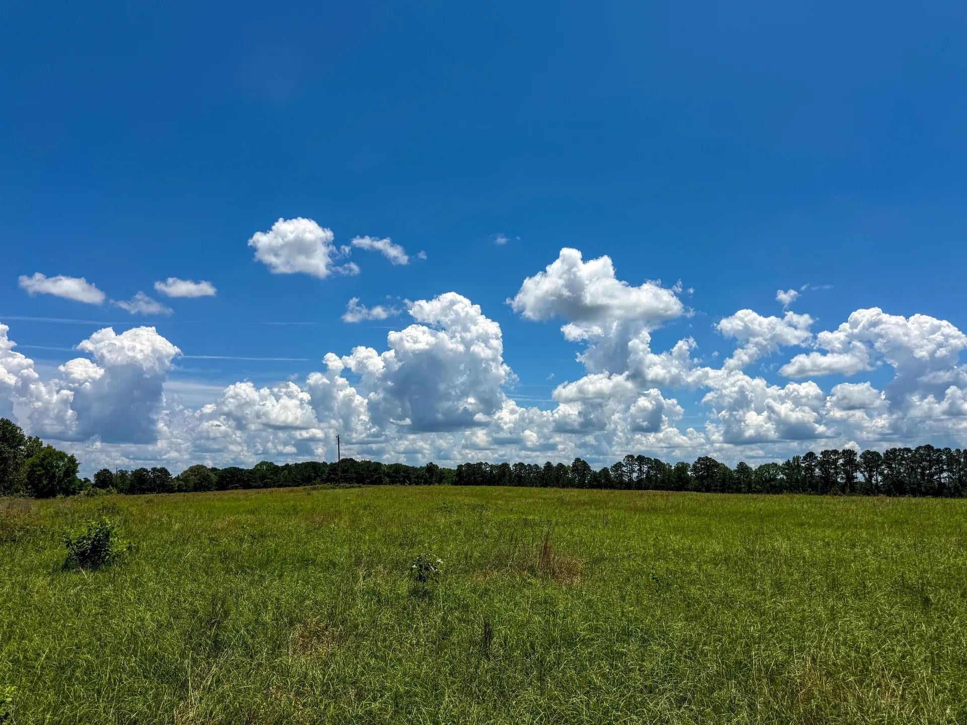 Douglassville, Texas, 75560, United States, ,Land,For Sale,2048006