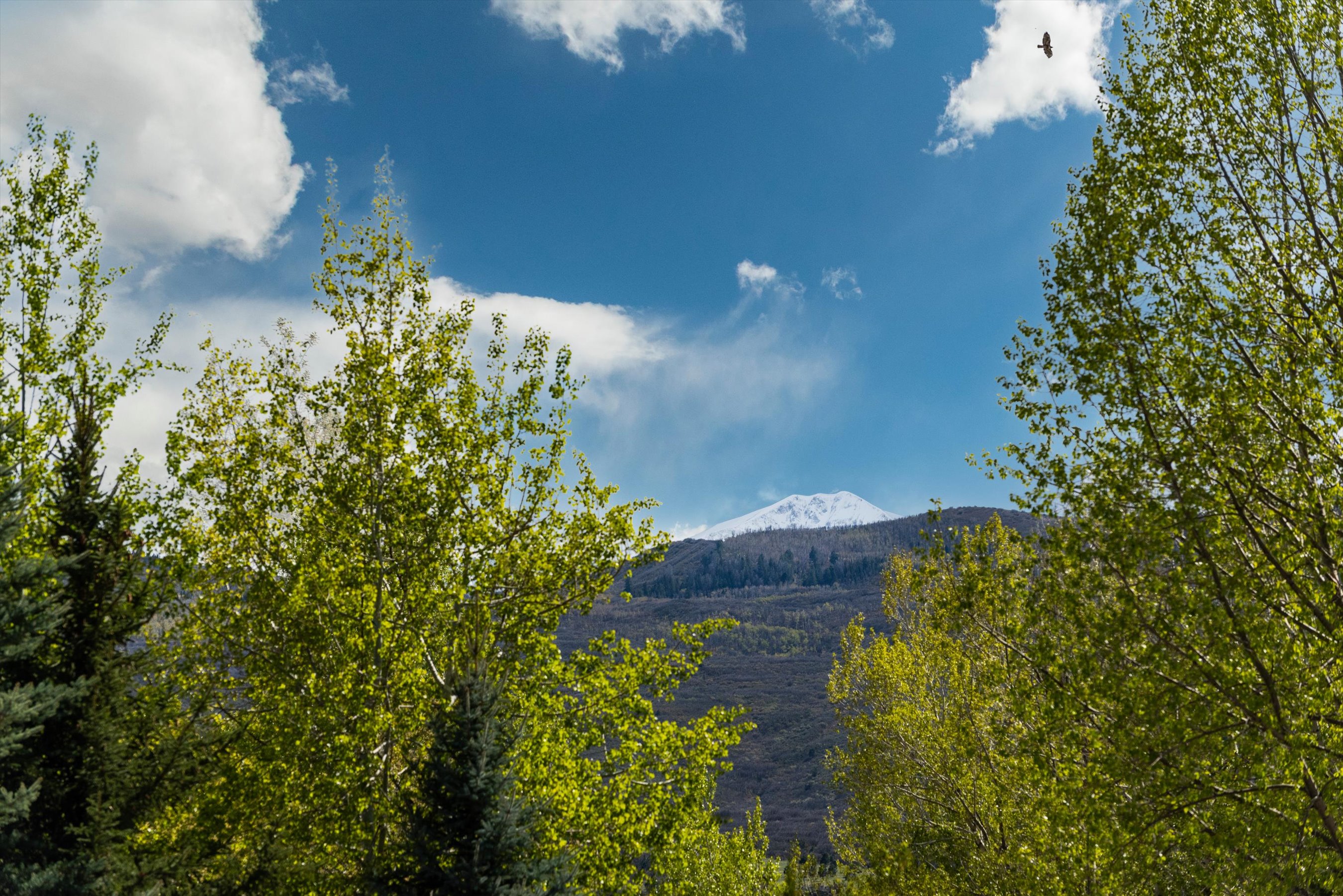  159 Easy Street, Carbondale, CO, 81623 - 物件實景