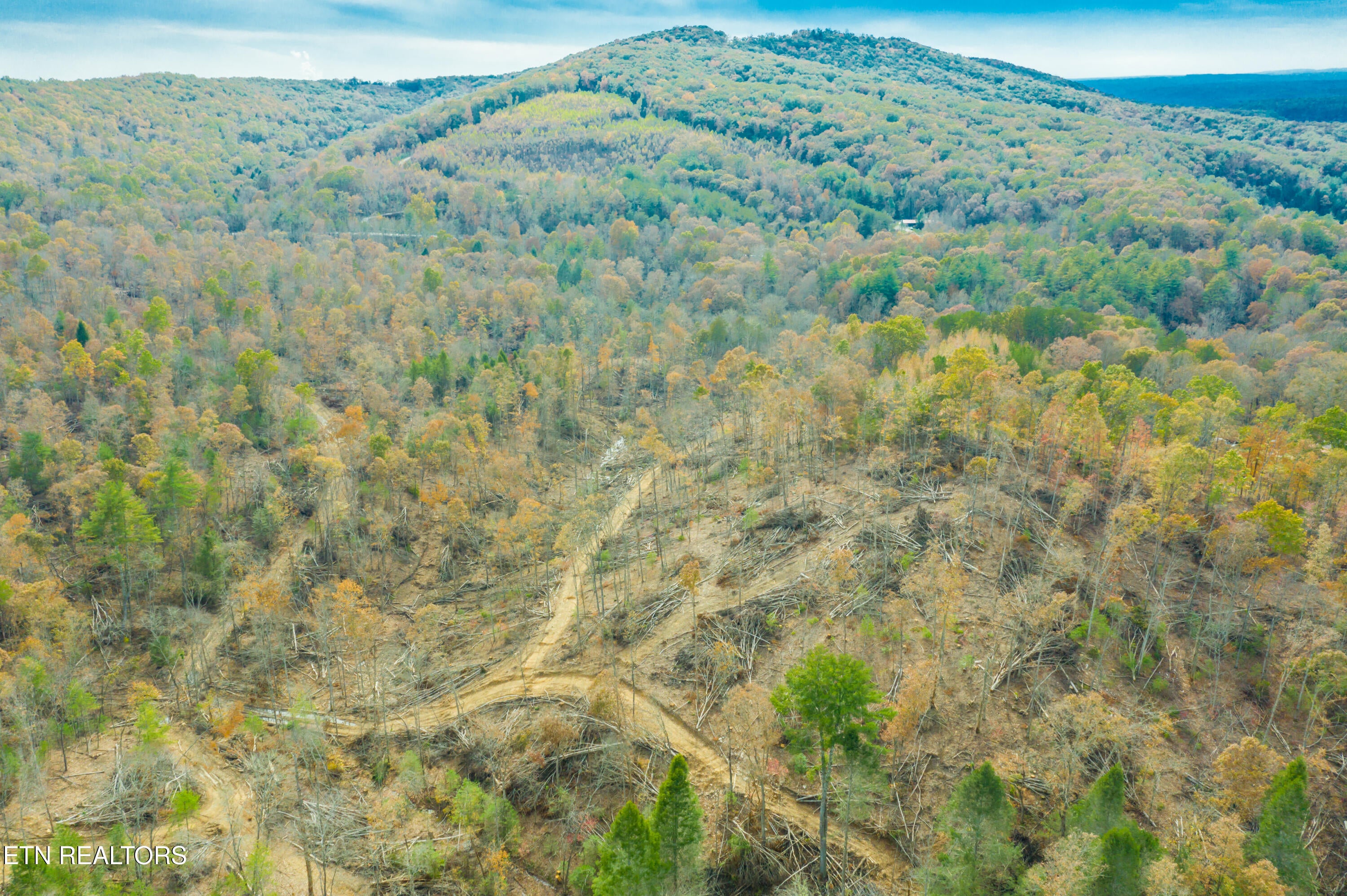 Rockwood, Tennessee, 37854, United States, ,Land,For Sale,1806468